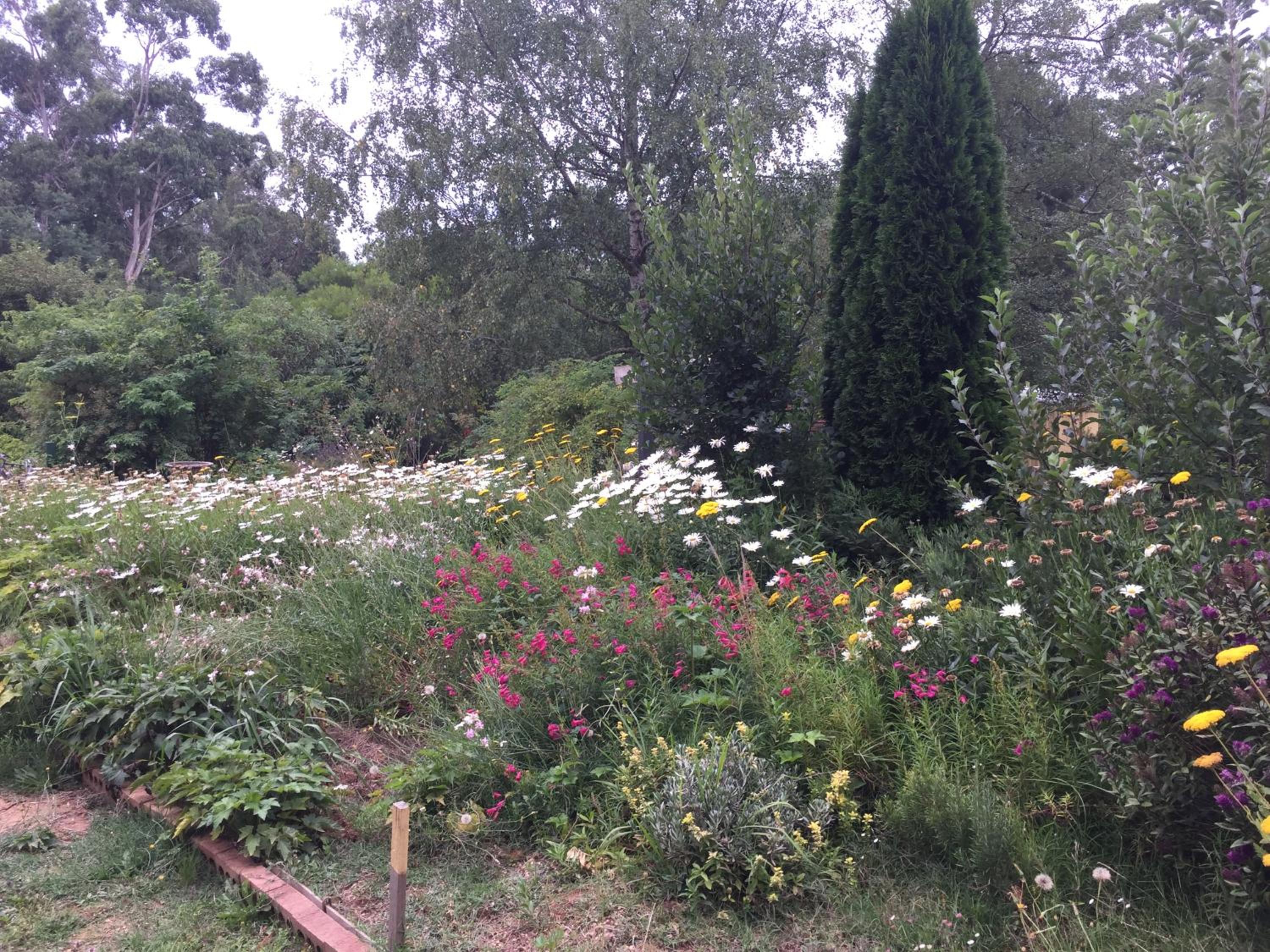Oaktree Guest House