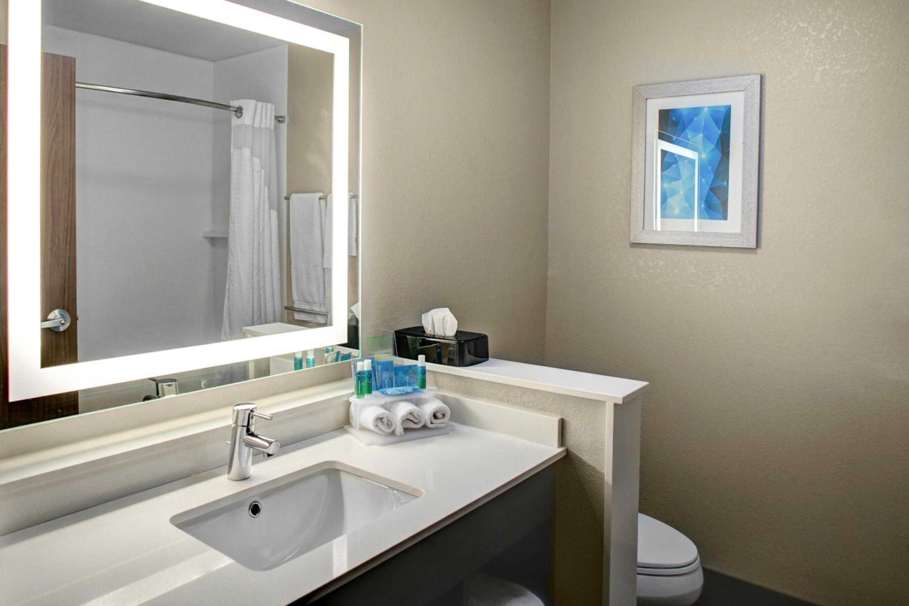 Holiday Inn Express & Suites Coldwater by IHG