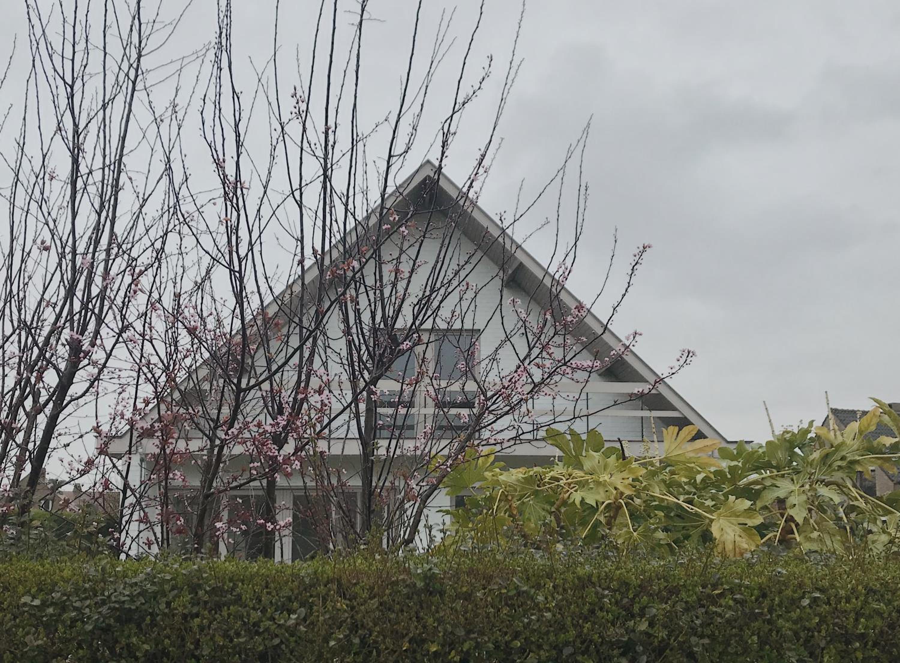 Villa Zuid