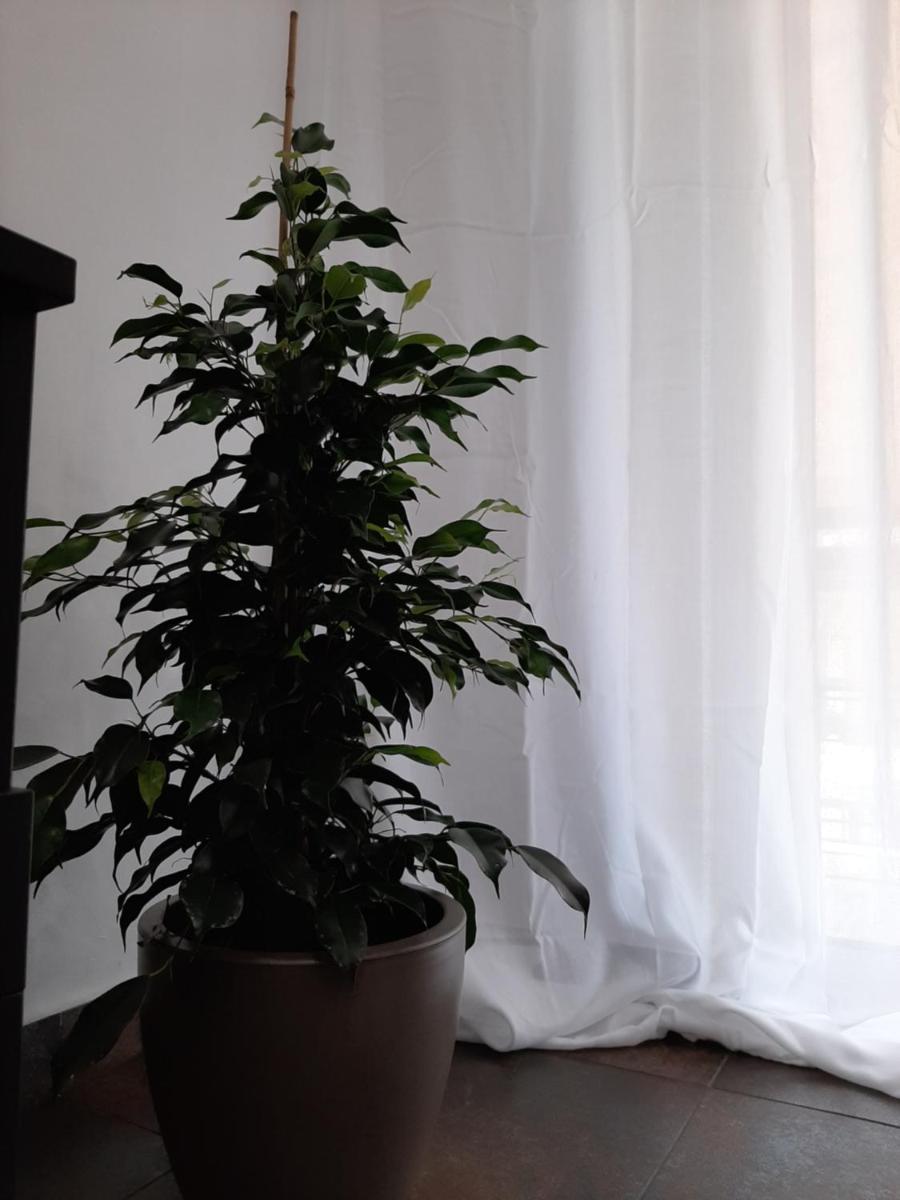 Glyfada Vacation Apt