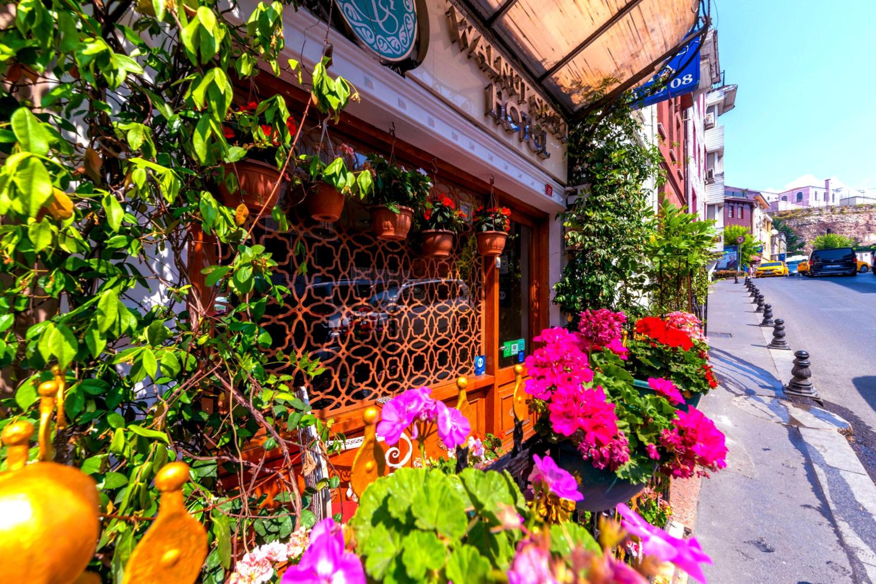 Hotel Walnut Shell Hotel Sultanahmet - Image 1