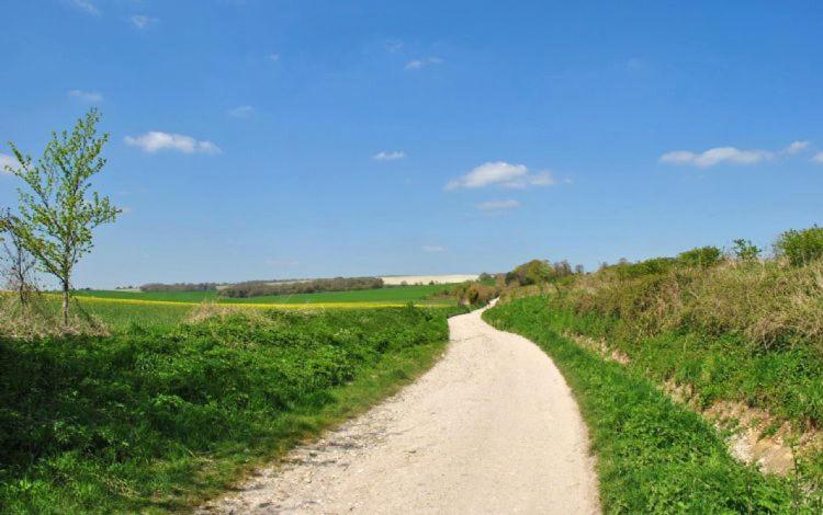 The Run, West Lavant