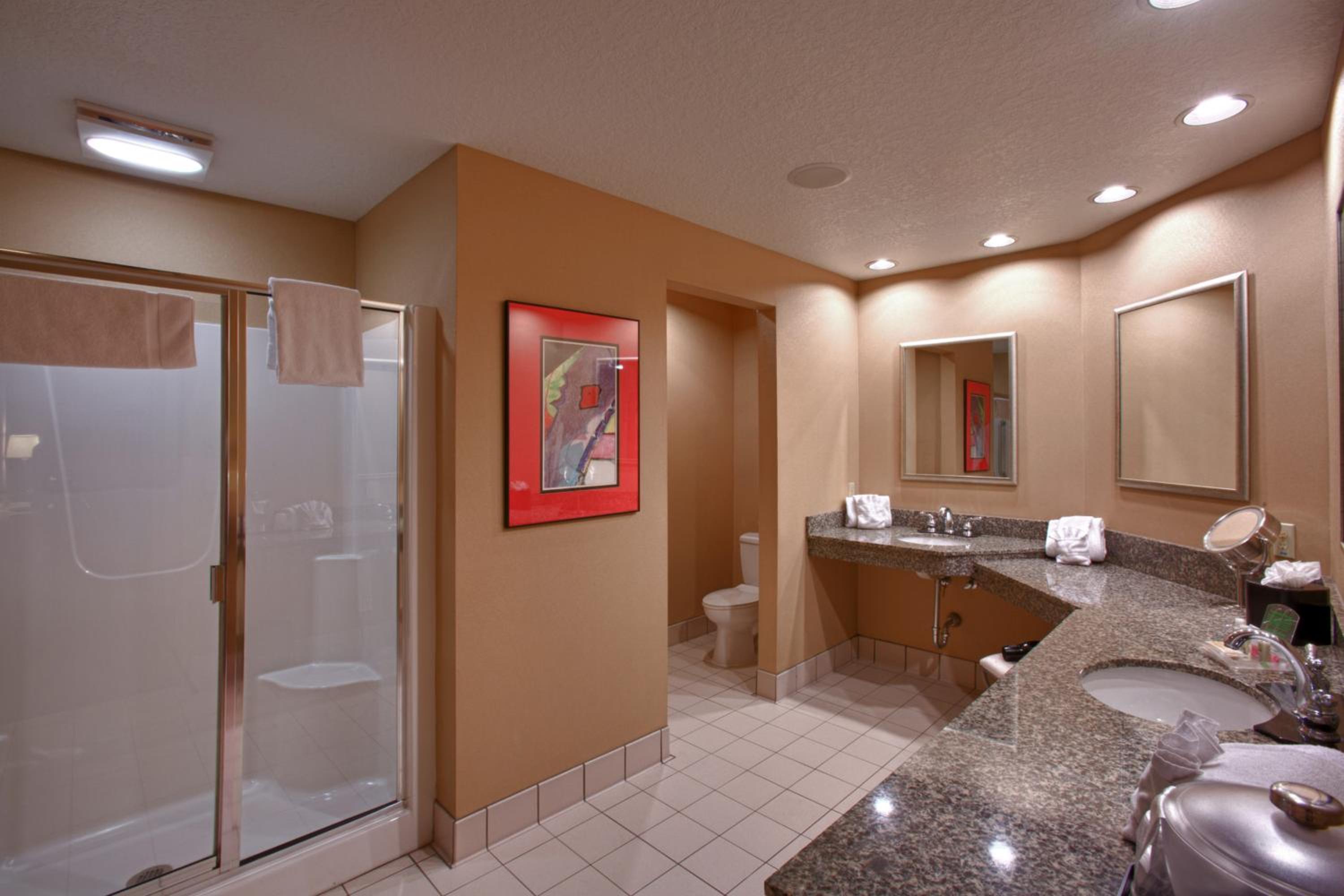 Holiday Inn St. Paul Northeast - Lake Elmo, an IHG Hotel - Property Image 48
