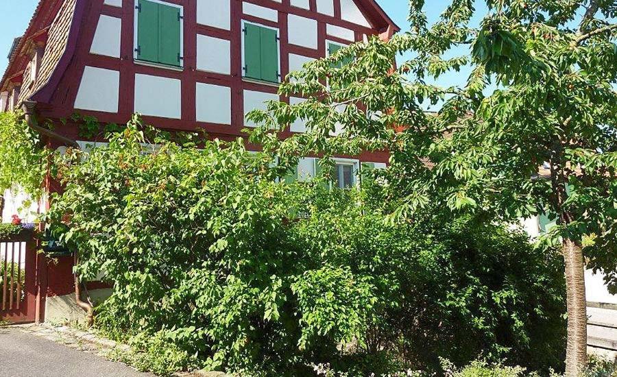 Gräfin von Paris - Appartement mit Saunanutzung