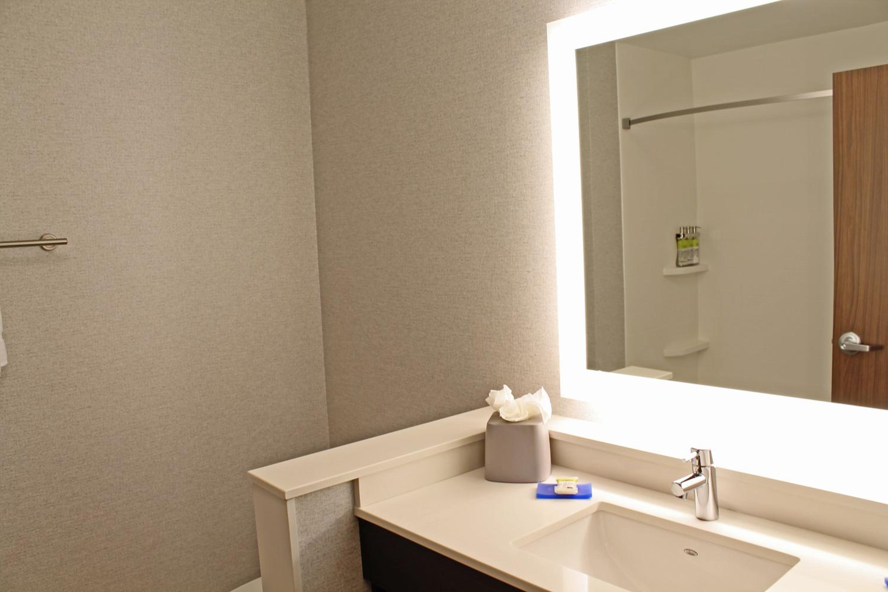Holiday Inn Express Suites - St. Louis South - I-55, an IHG Hotel - Property Image 11
