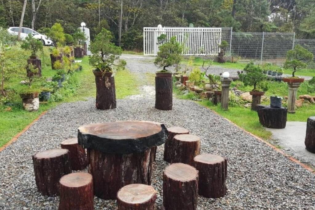 Bonsai Villa @ Mesilou 盆栽小苑 photo 5