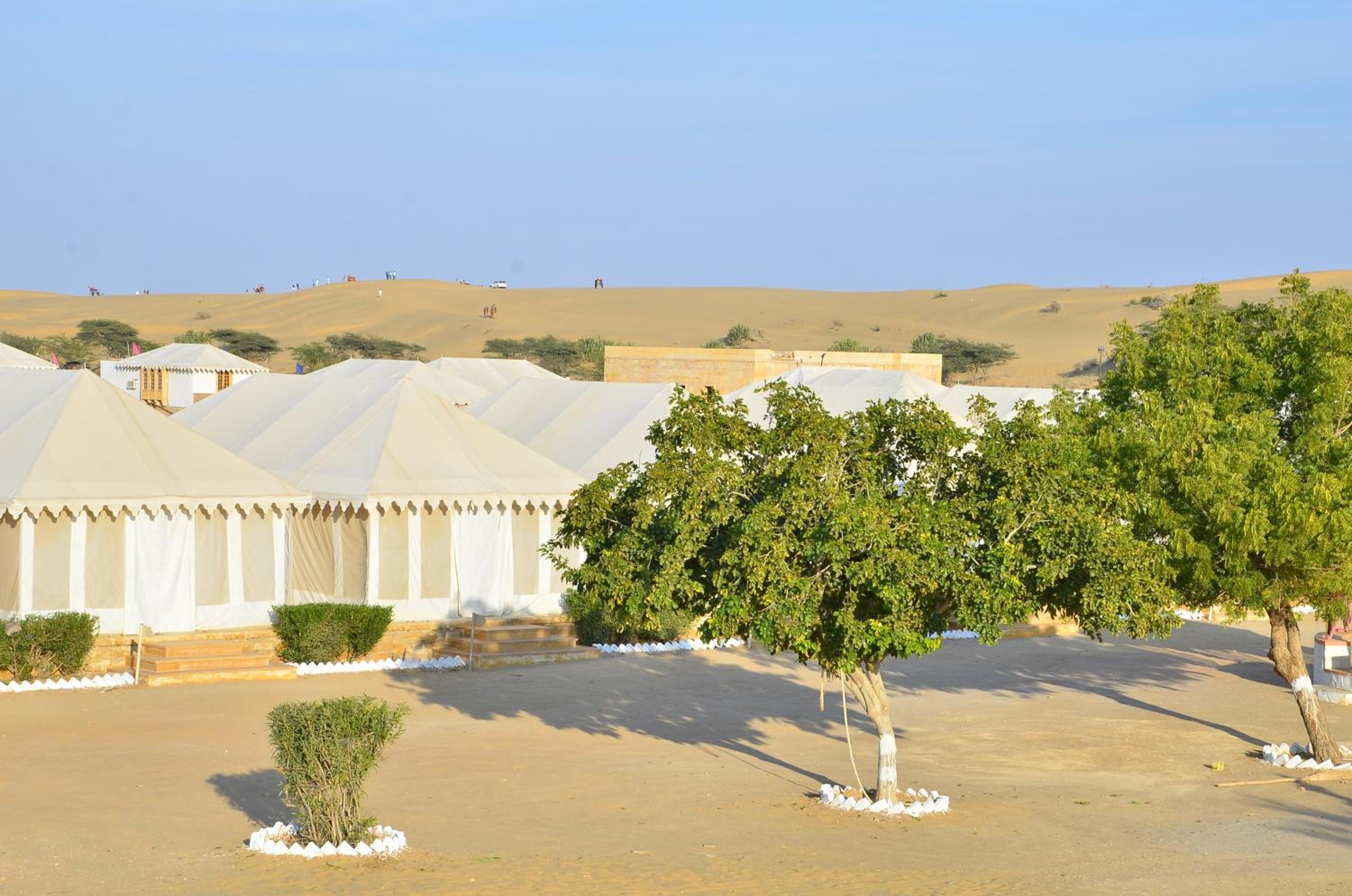 Oasis camp sam