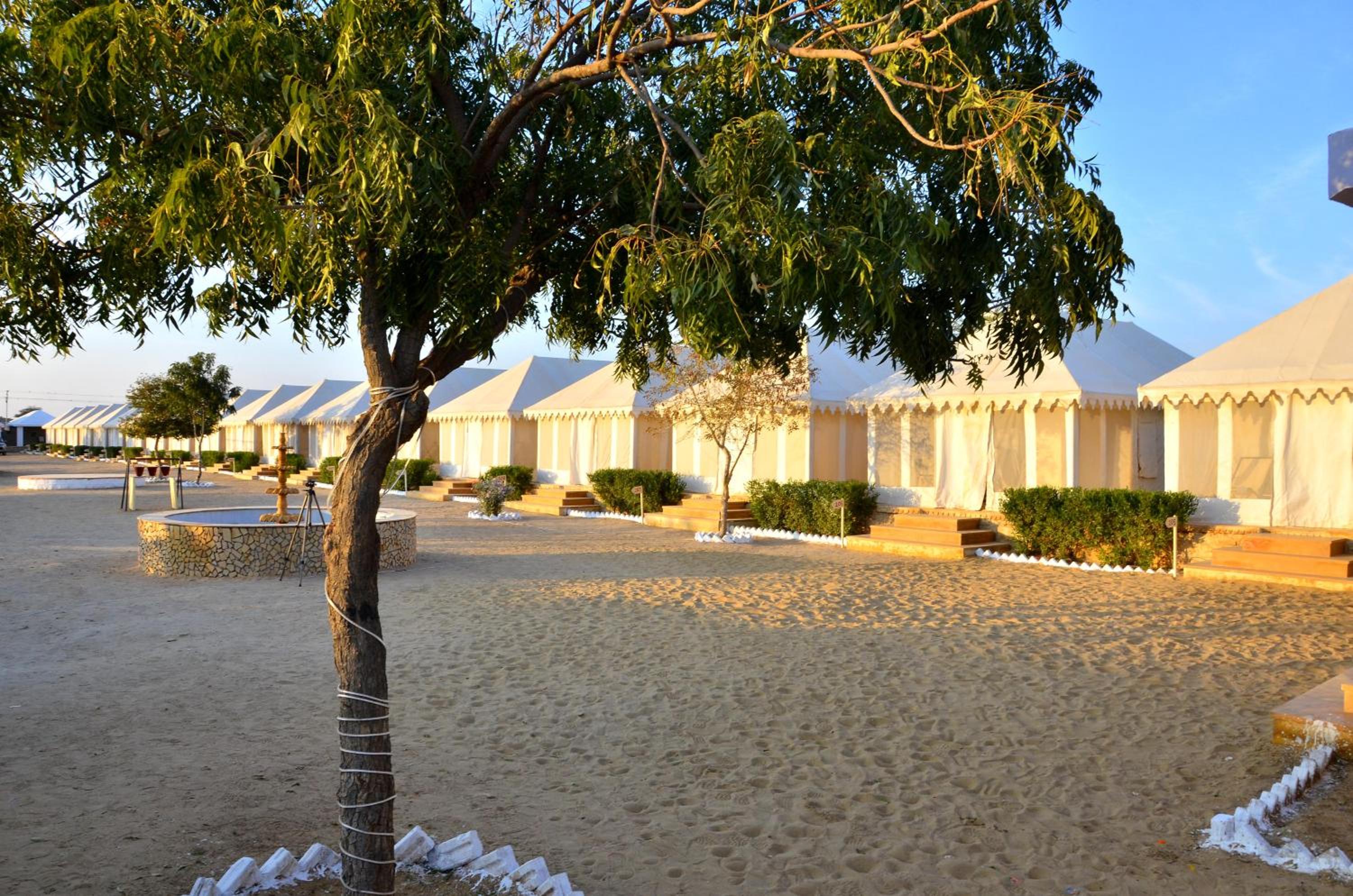 Oasis camp sam