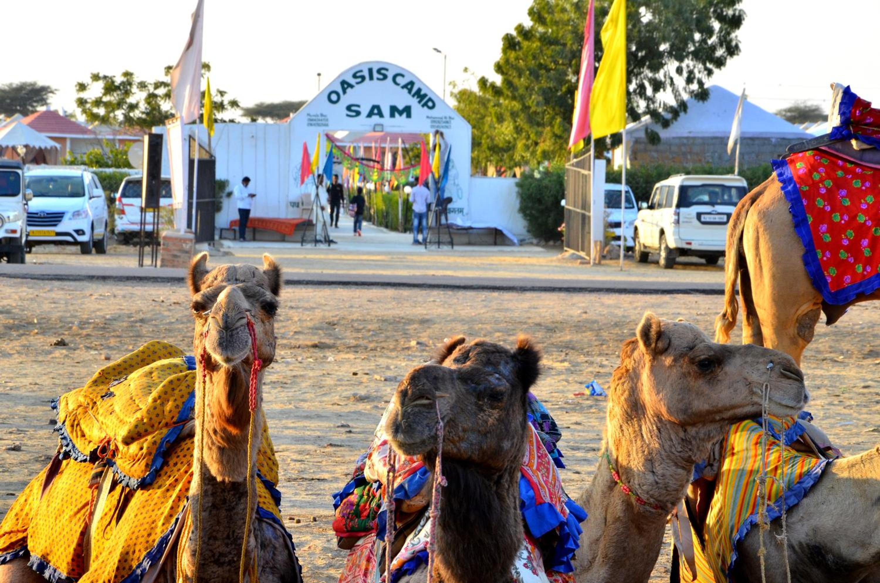 Oasis camp sam