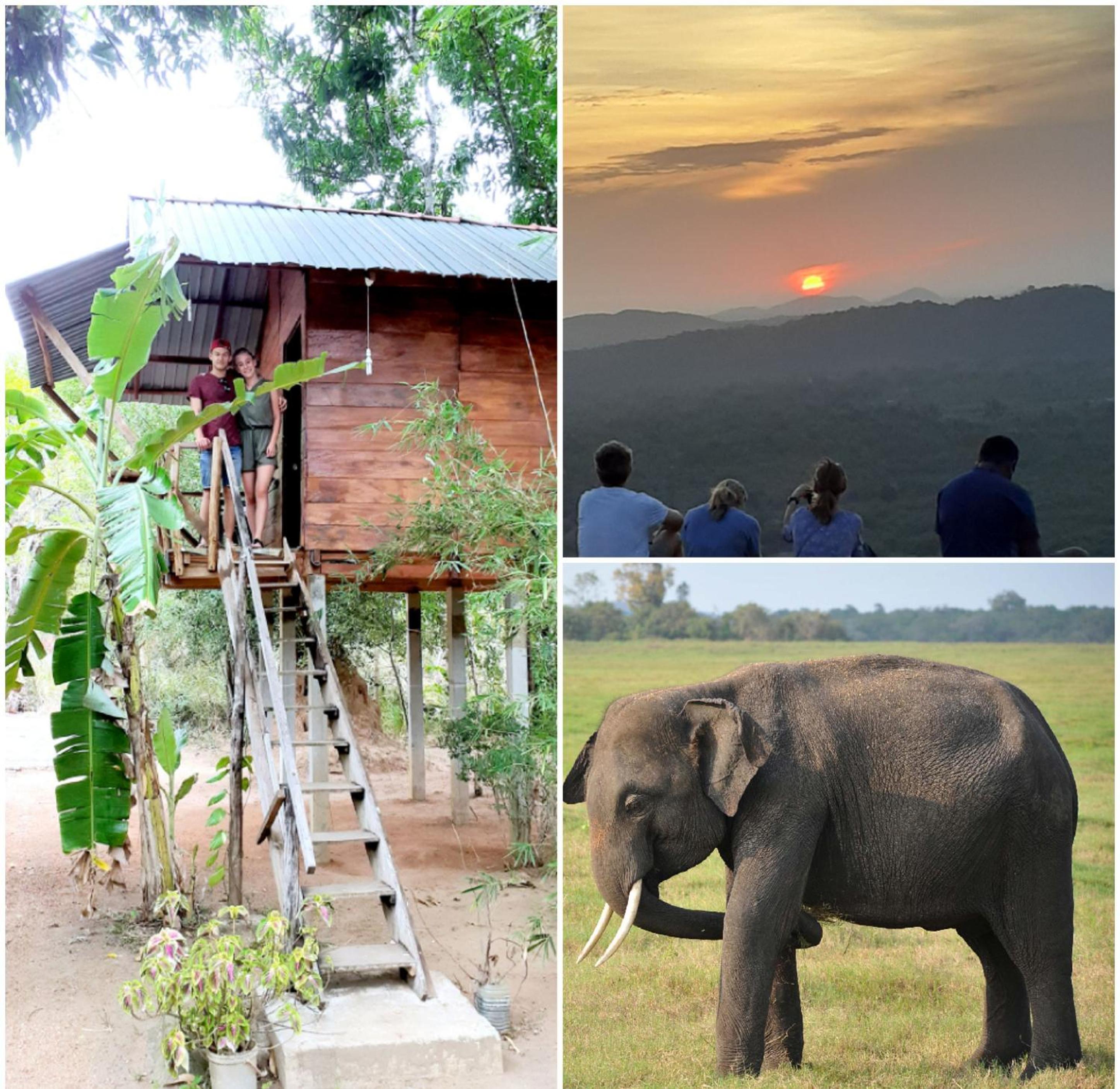 Sanjana Home Stay view 5