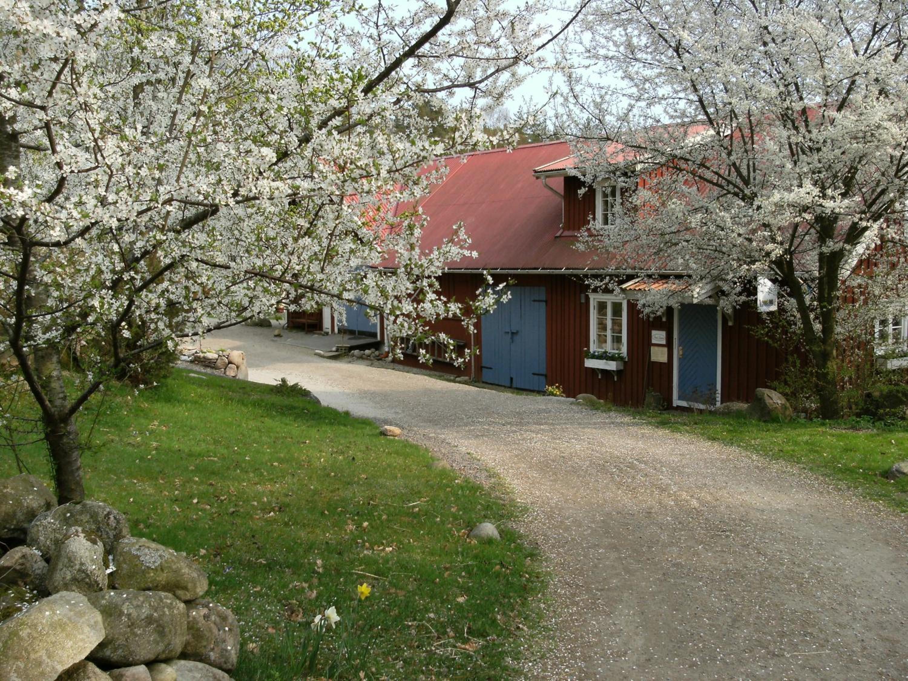 Photo 12