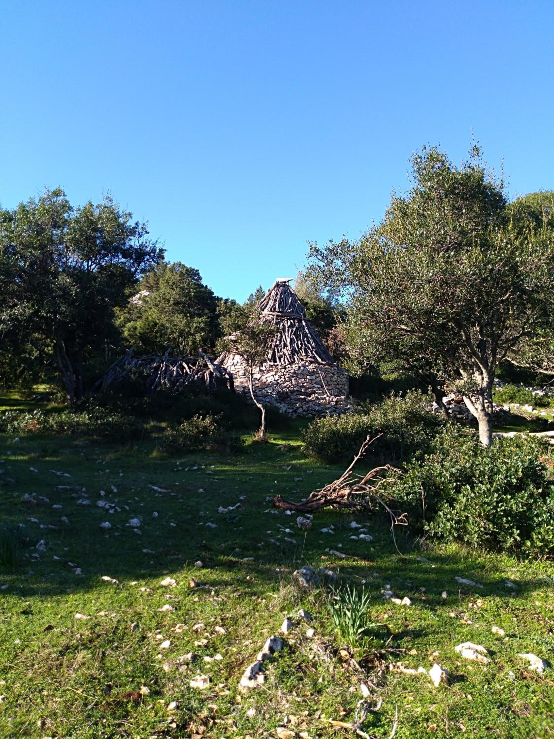 Photo 46