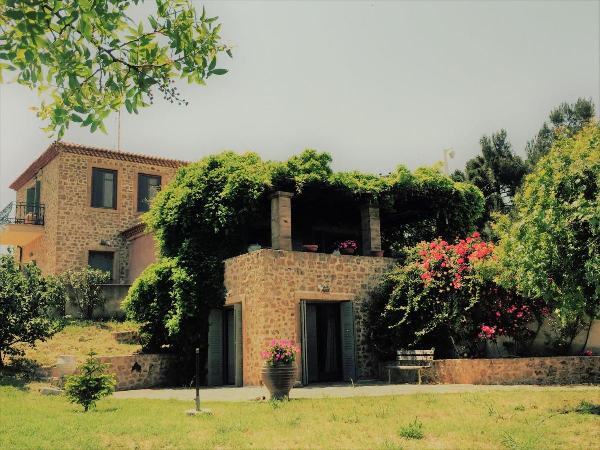 The Seacret Private Villa photo 2