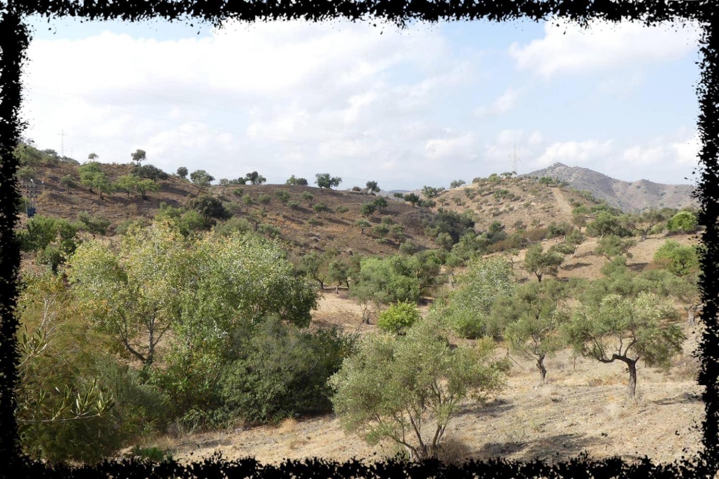 Cortijo Casas Viejas