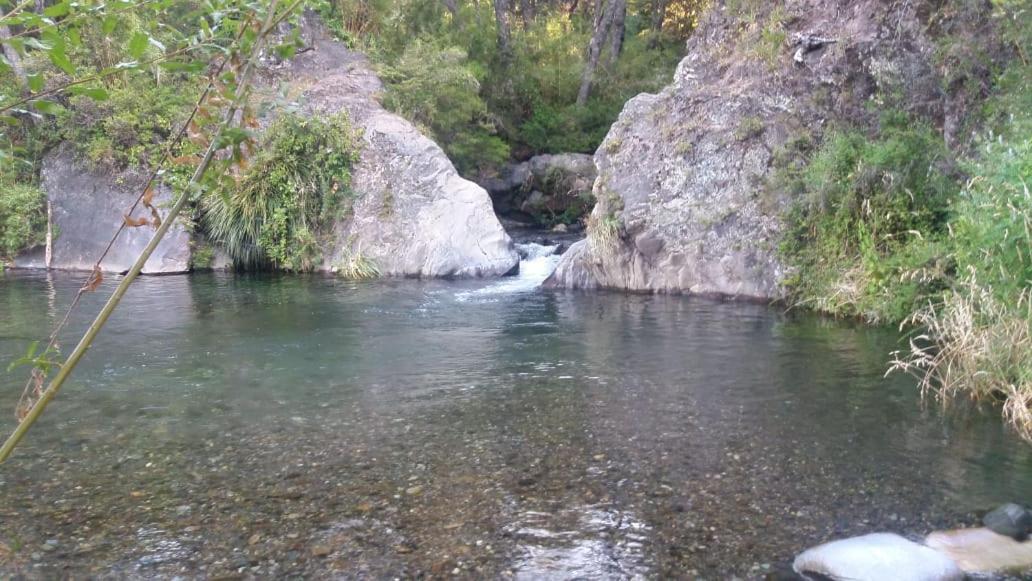 Photo 29