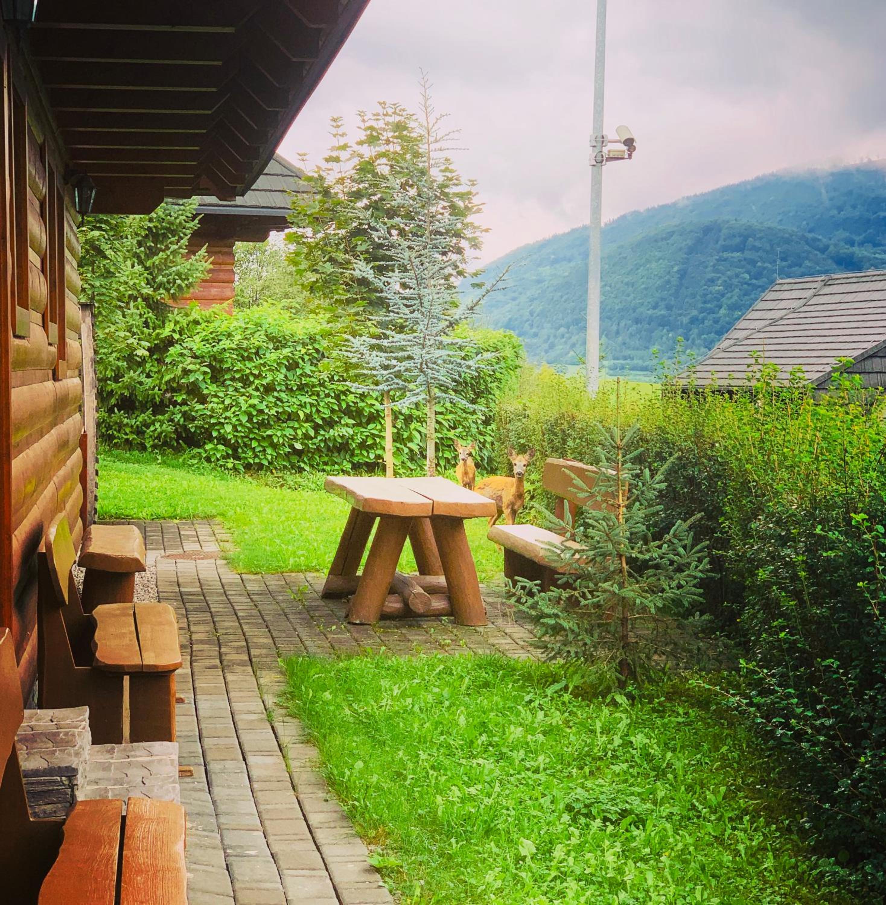 Photo 40