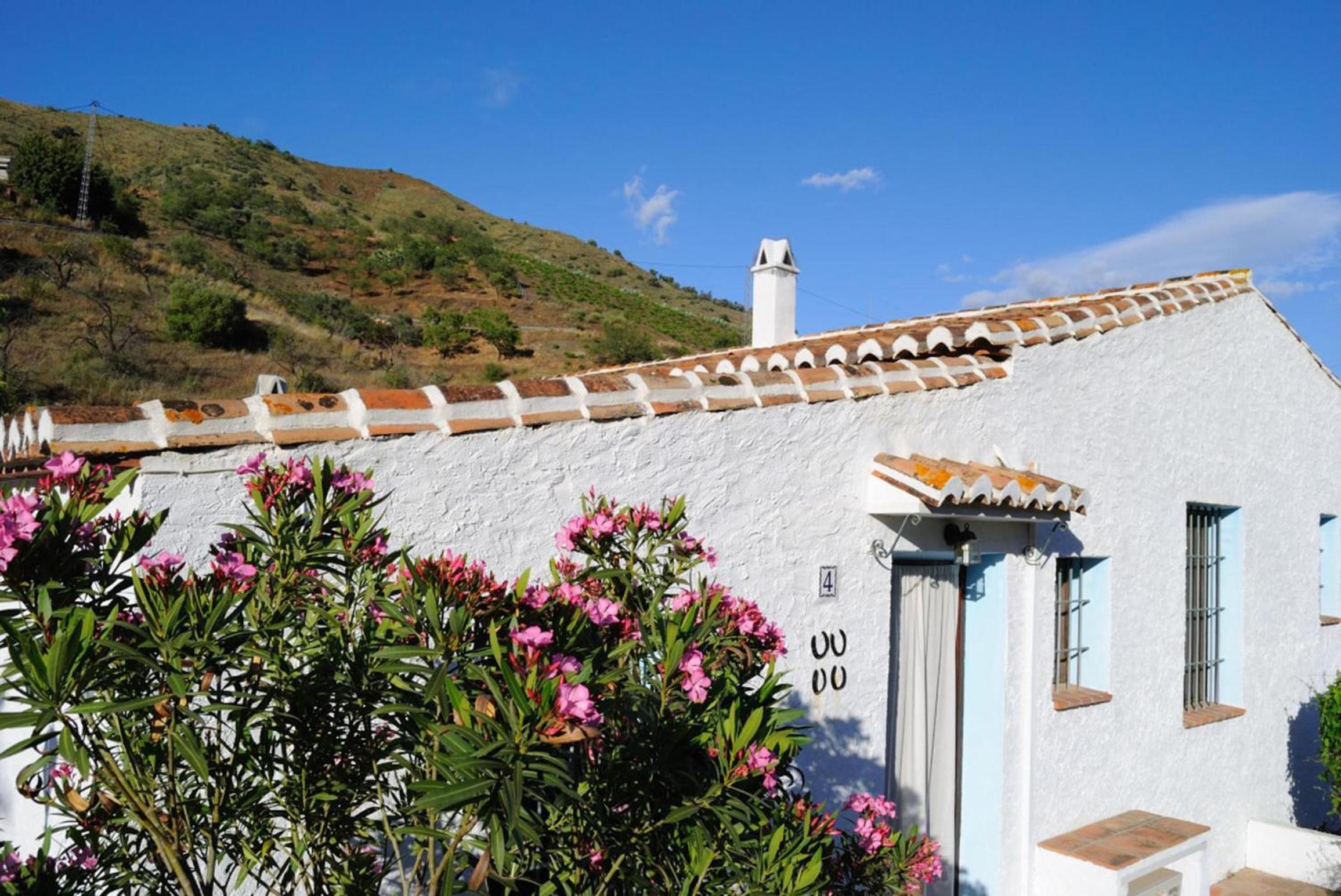 Cortijo Lagar de Luisa view 5