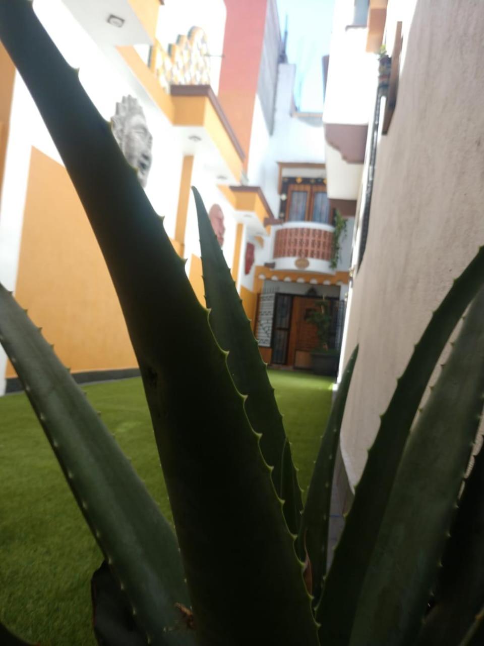 Photo 11