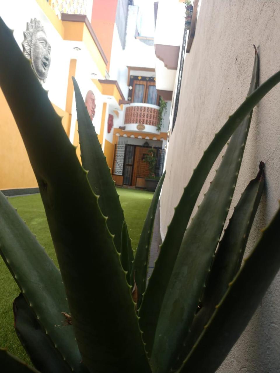 Casa Mexicana Patio view 3