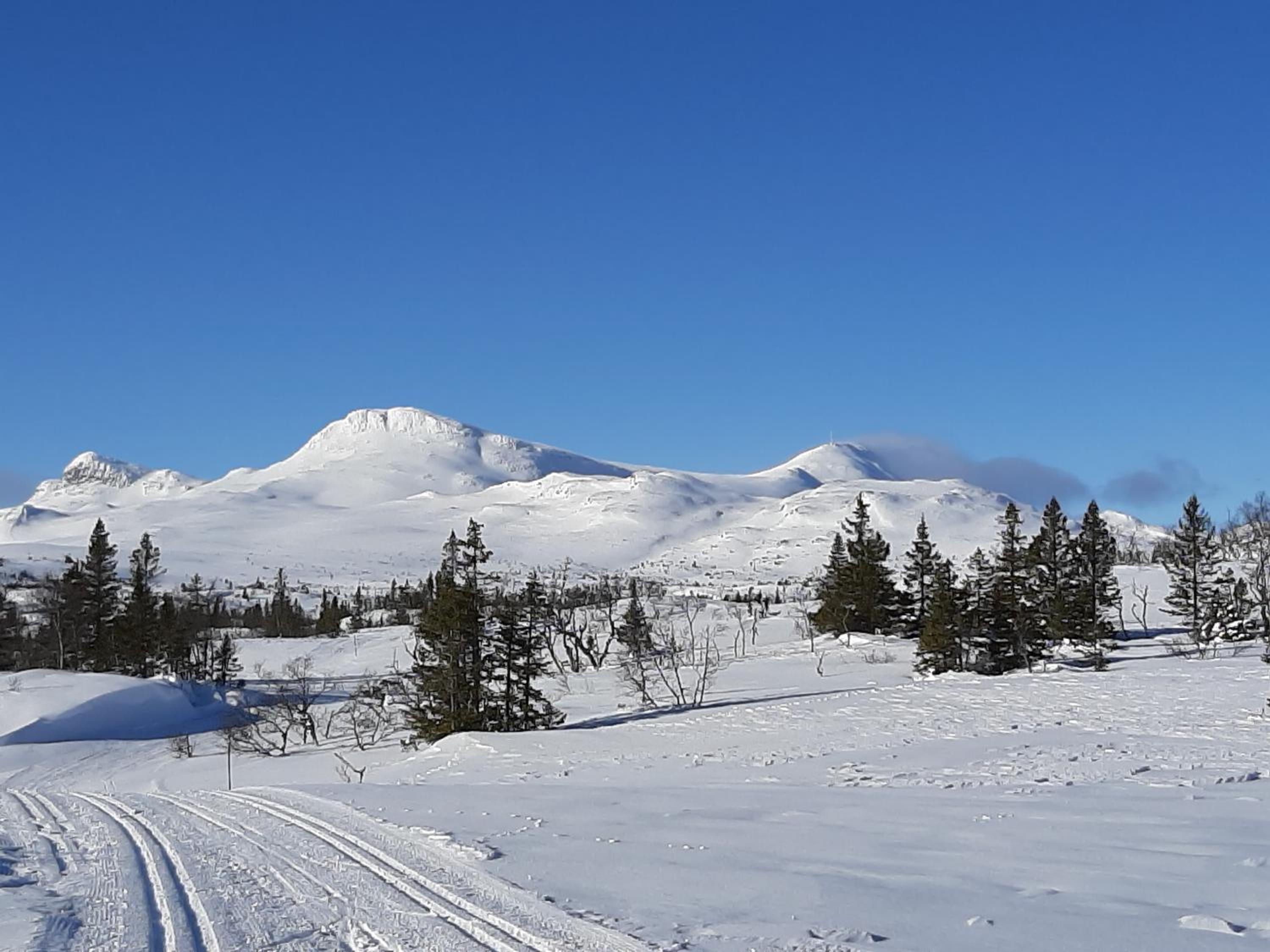 Gamlestugu Greivjord Fjellgard view 2