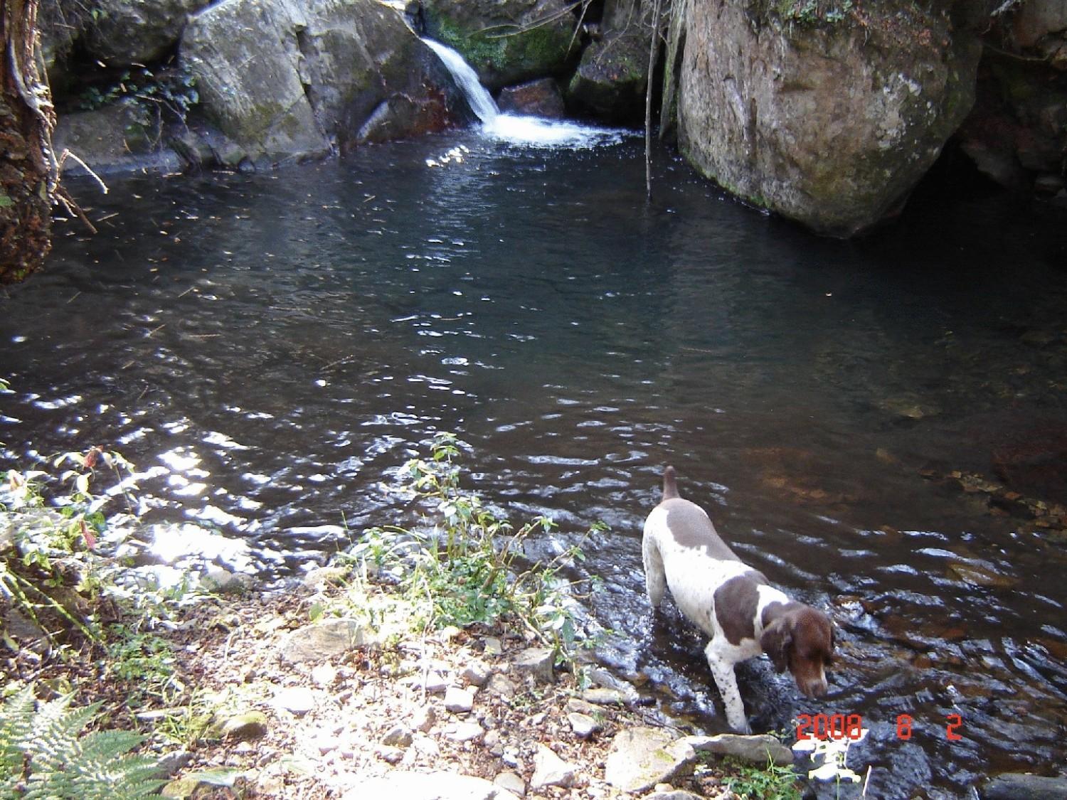 Photo 32