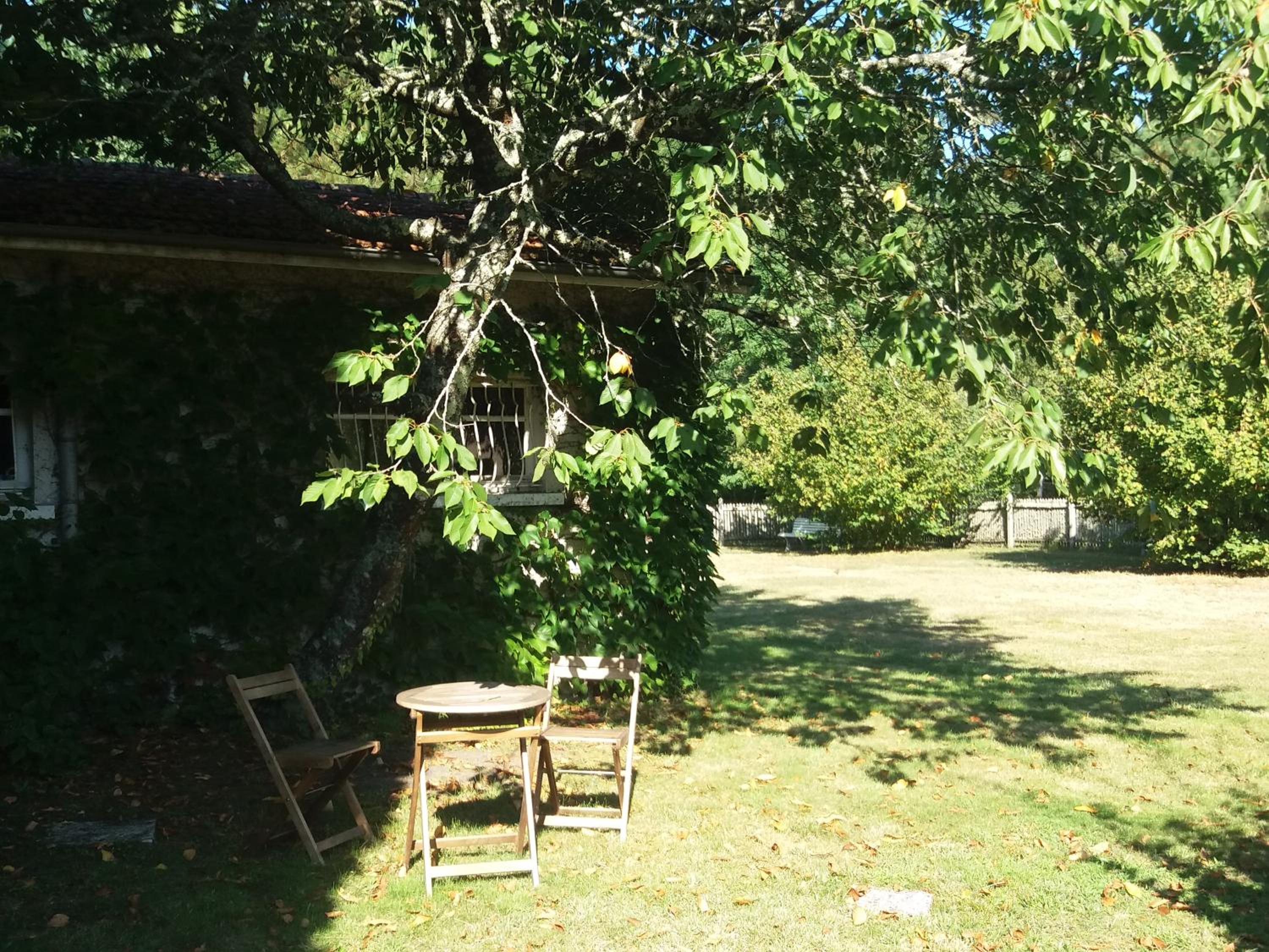 Photo 20