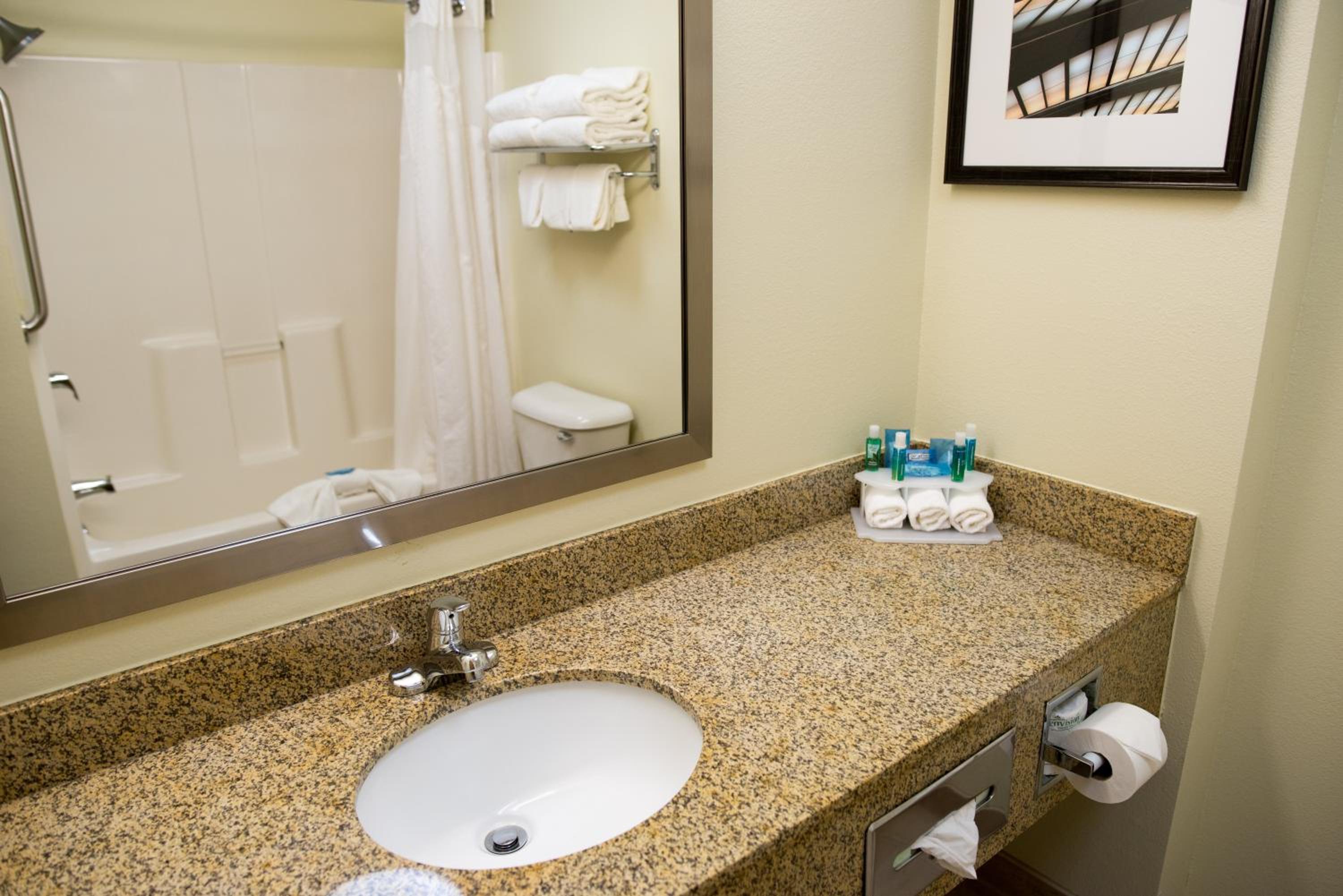 Holiday Inn Express Hotel  Suites Chanhassen, an IHG Hotel - Property Image 13