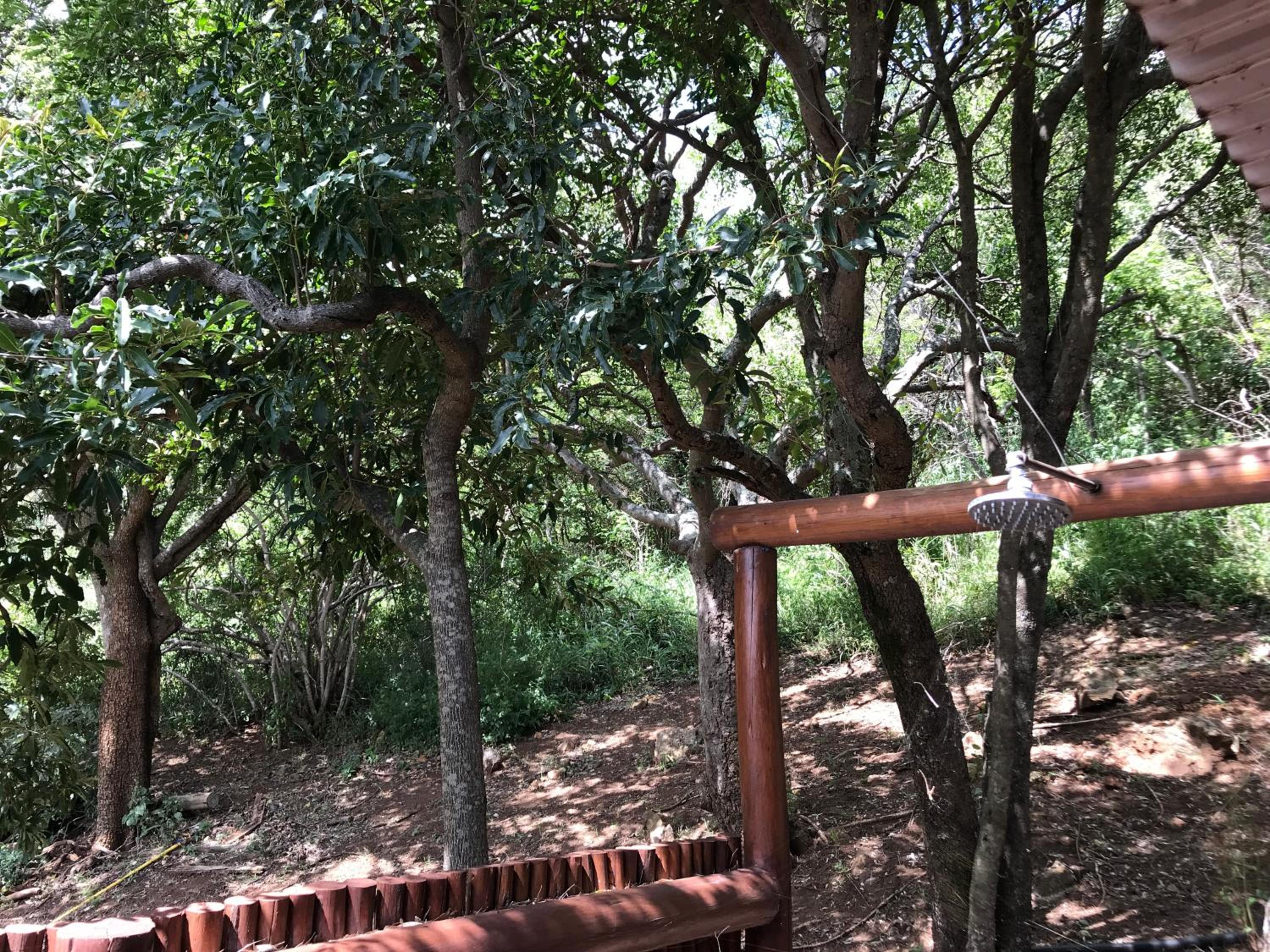 Amafu Forest Lodge