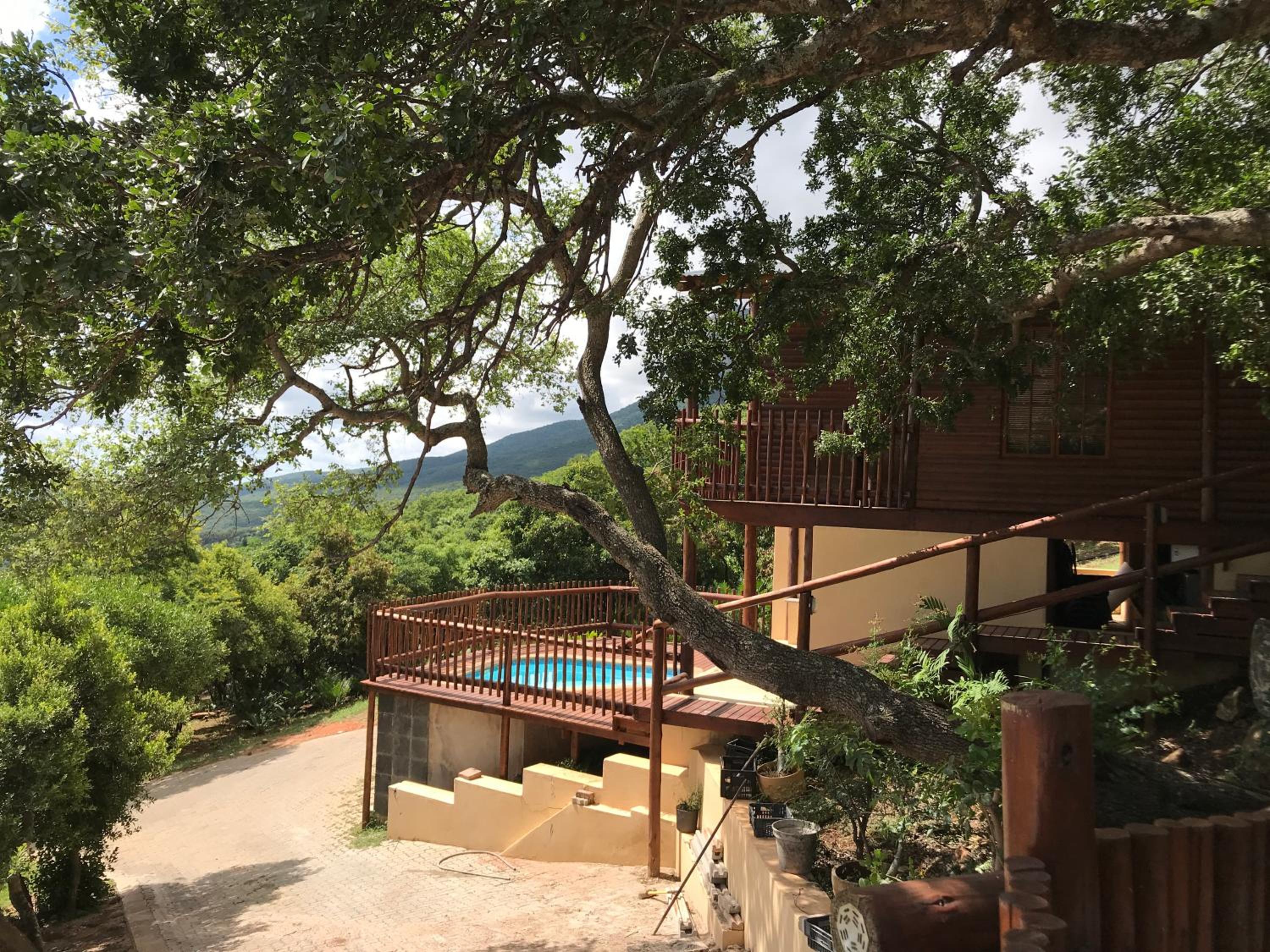 Amafu Forest Lodge