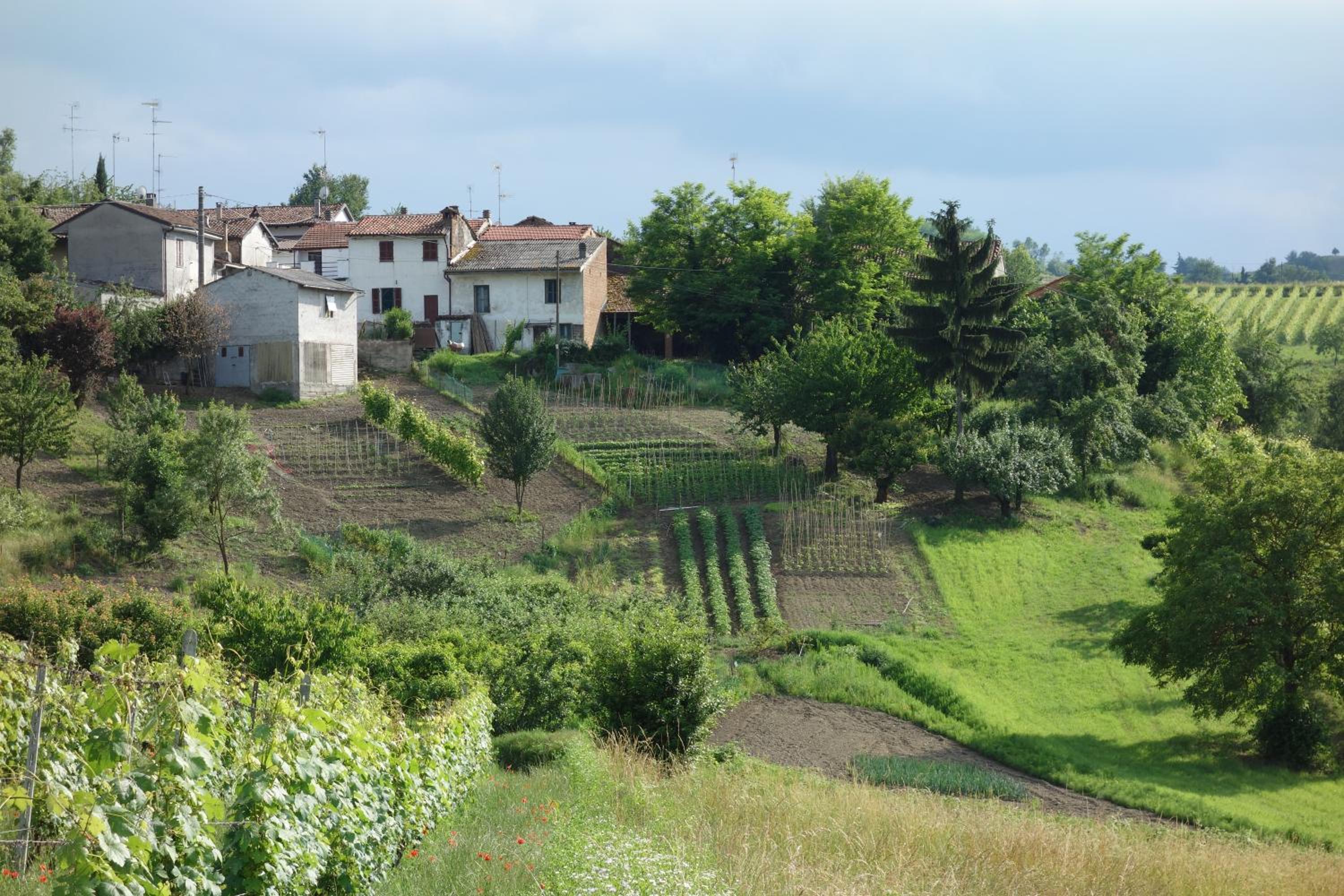 Cascina Alberta photo 4