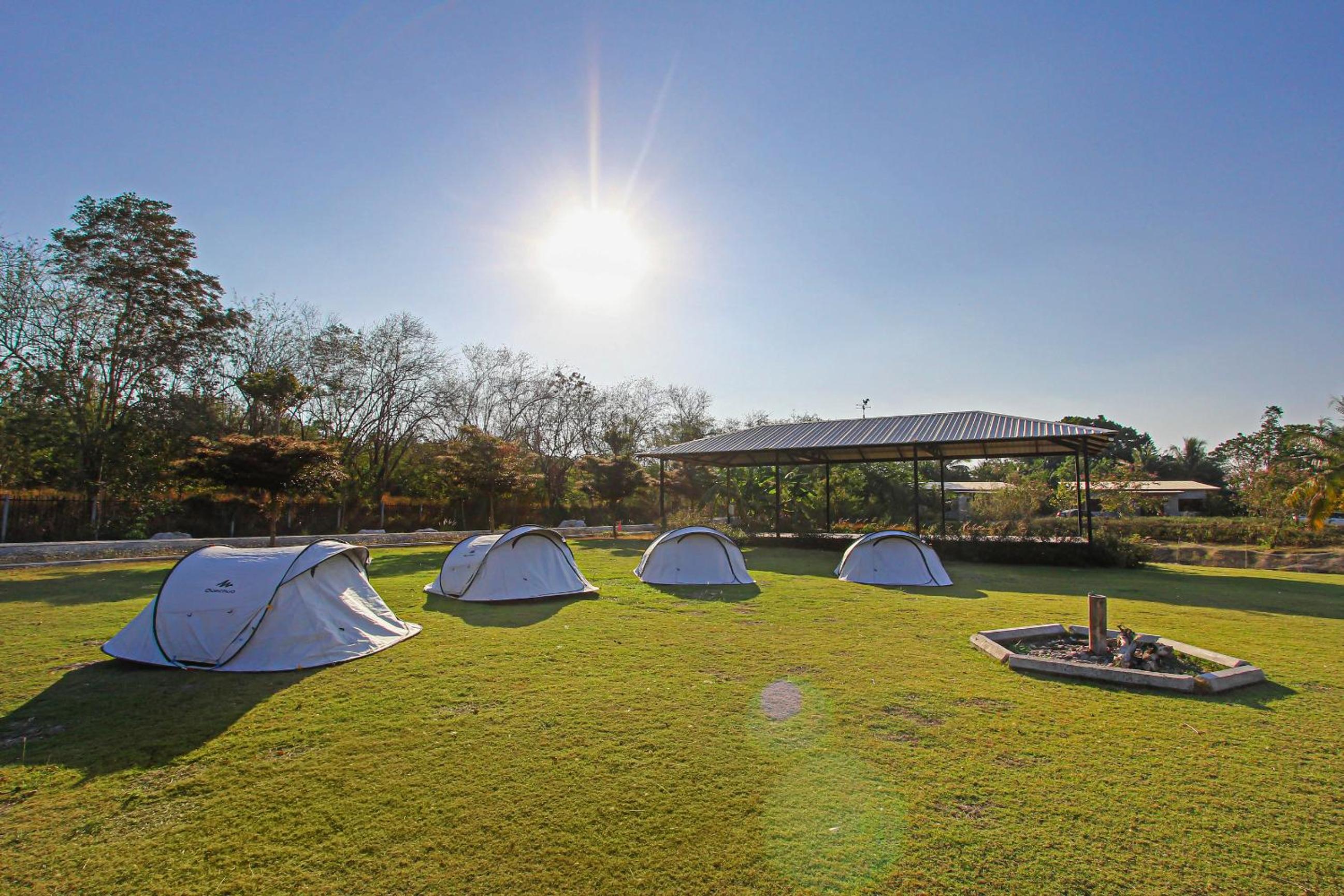 White Knot Khao Yai