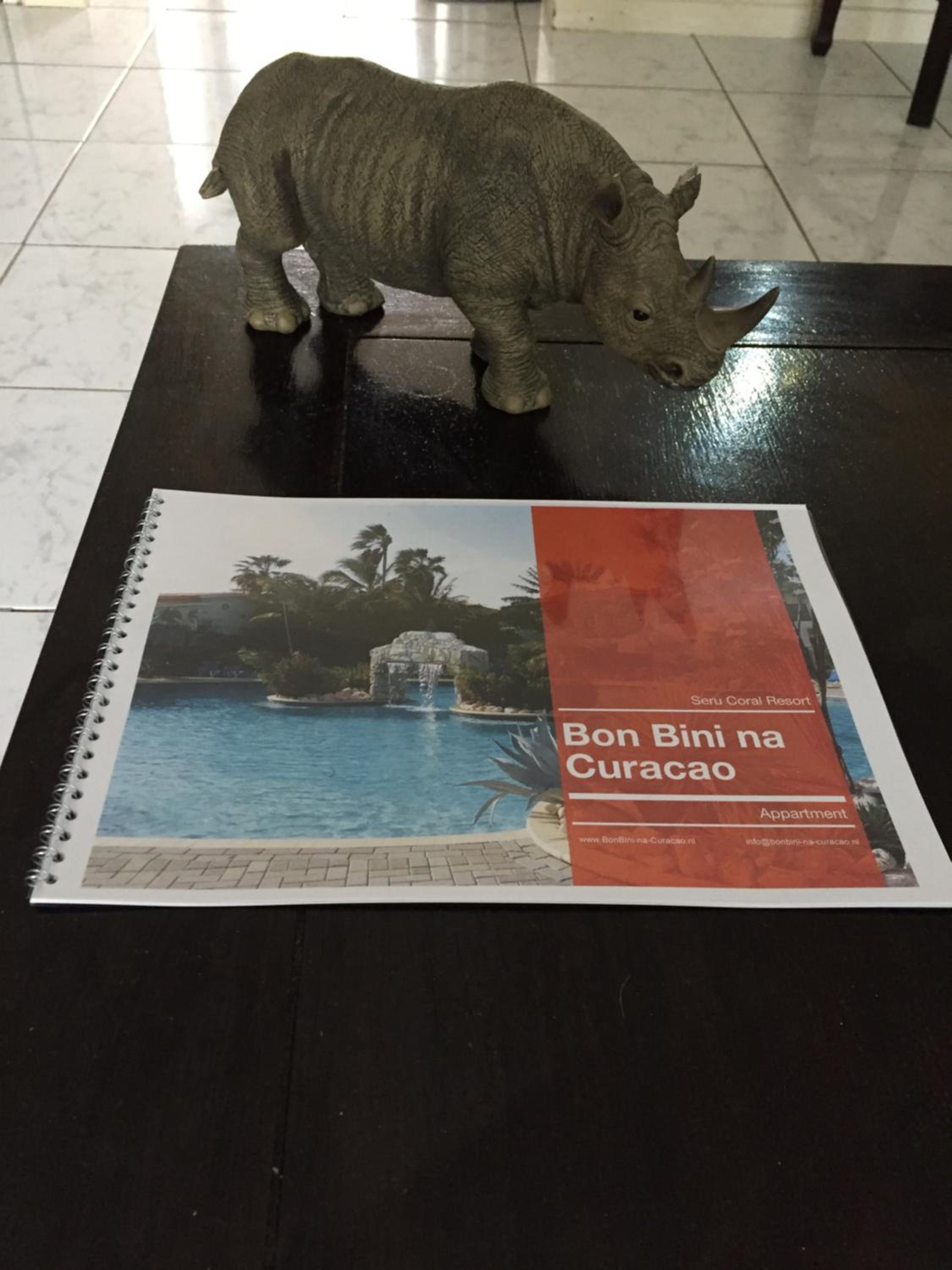 Bon Bini na Curacao