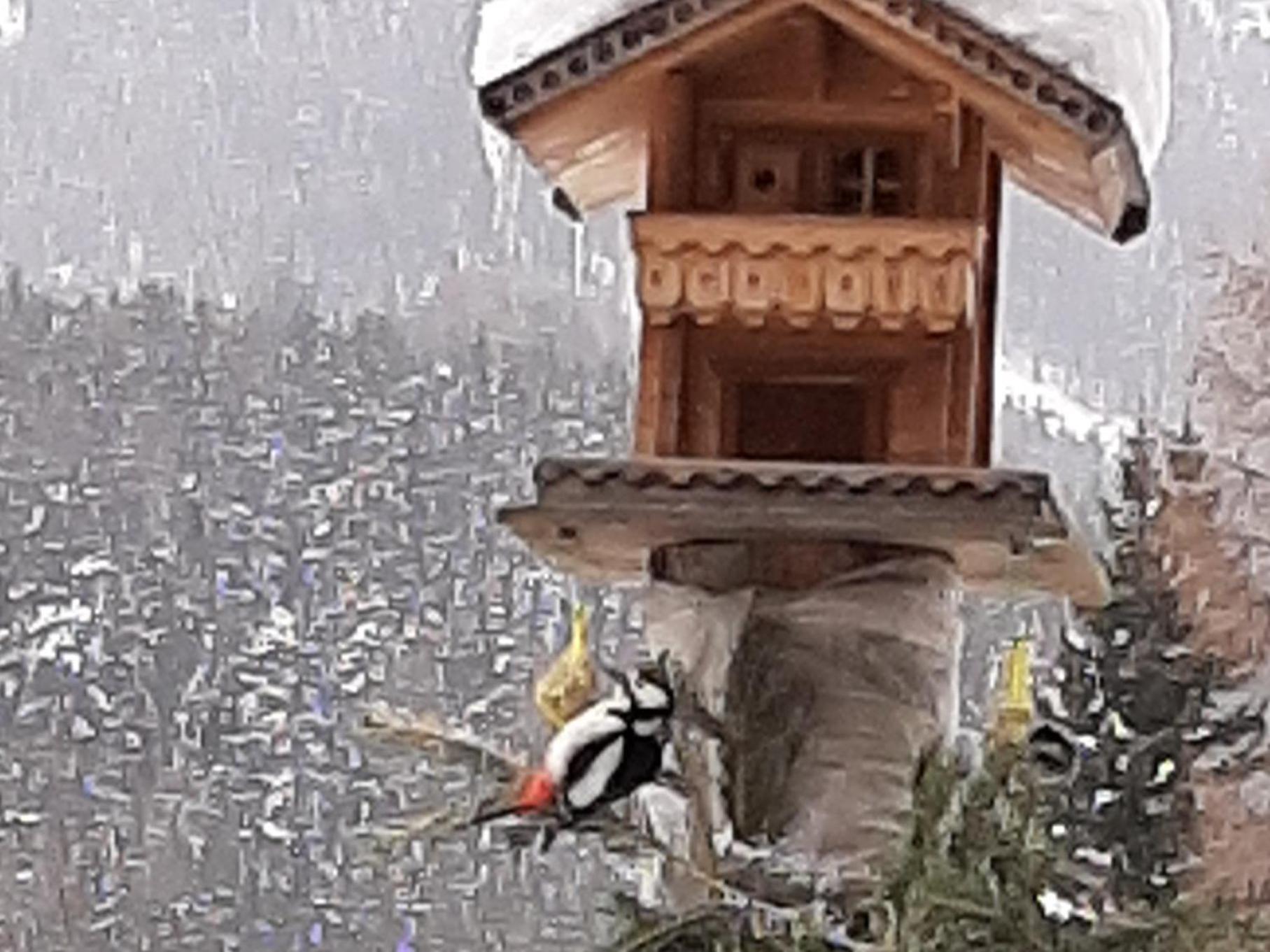 Pension Fürhapter mit Bio- Bauernhof