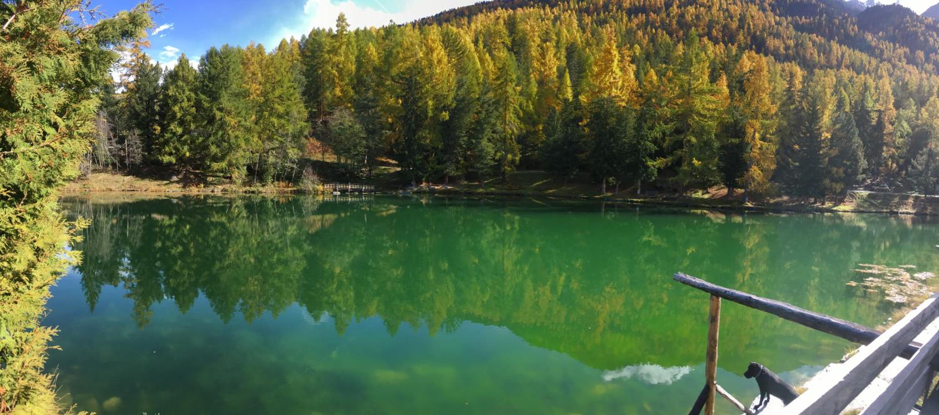 Chalet Safran