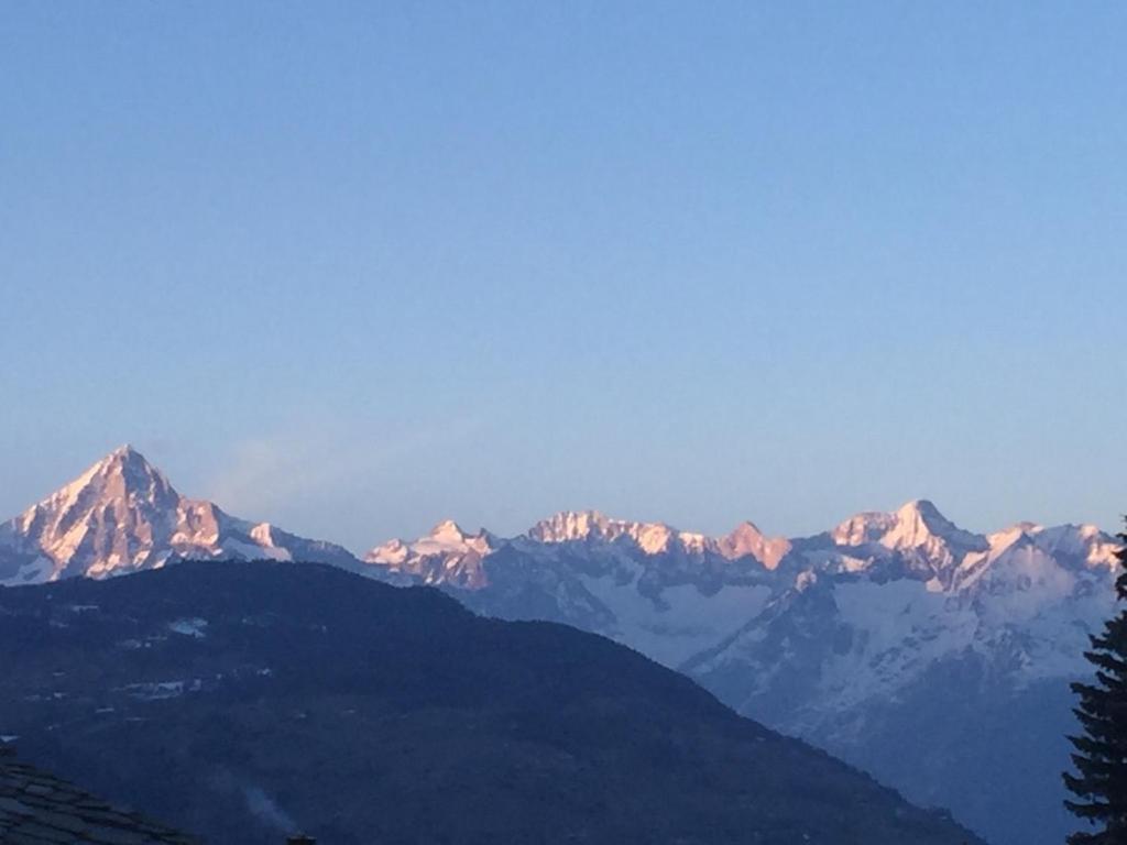 Chalet Safran
