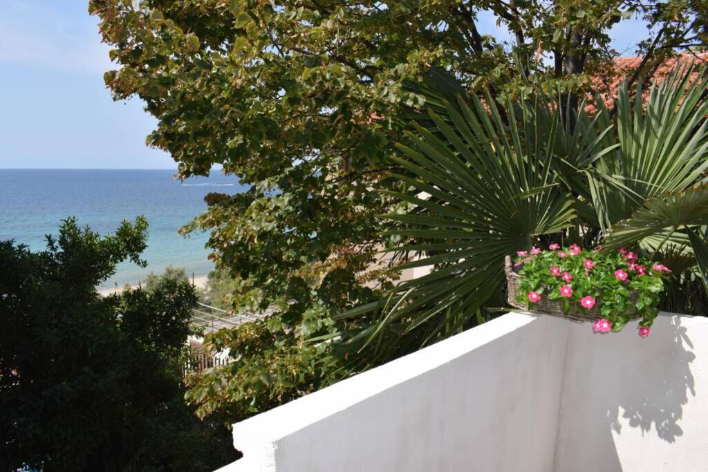 Marija apartment with a sea view terrace! view 5