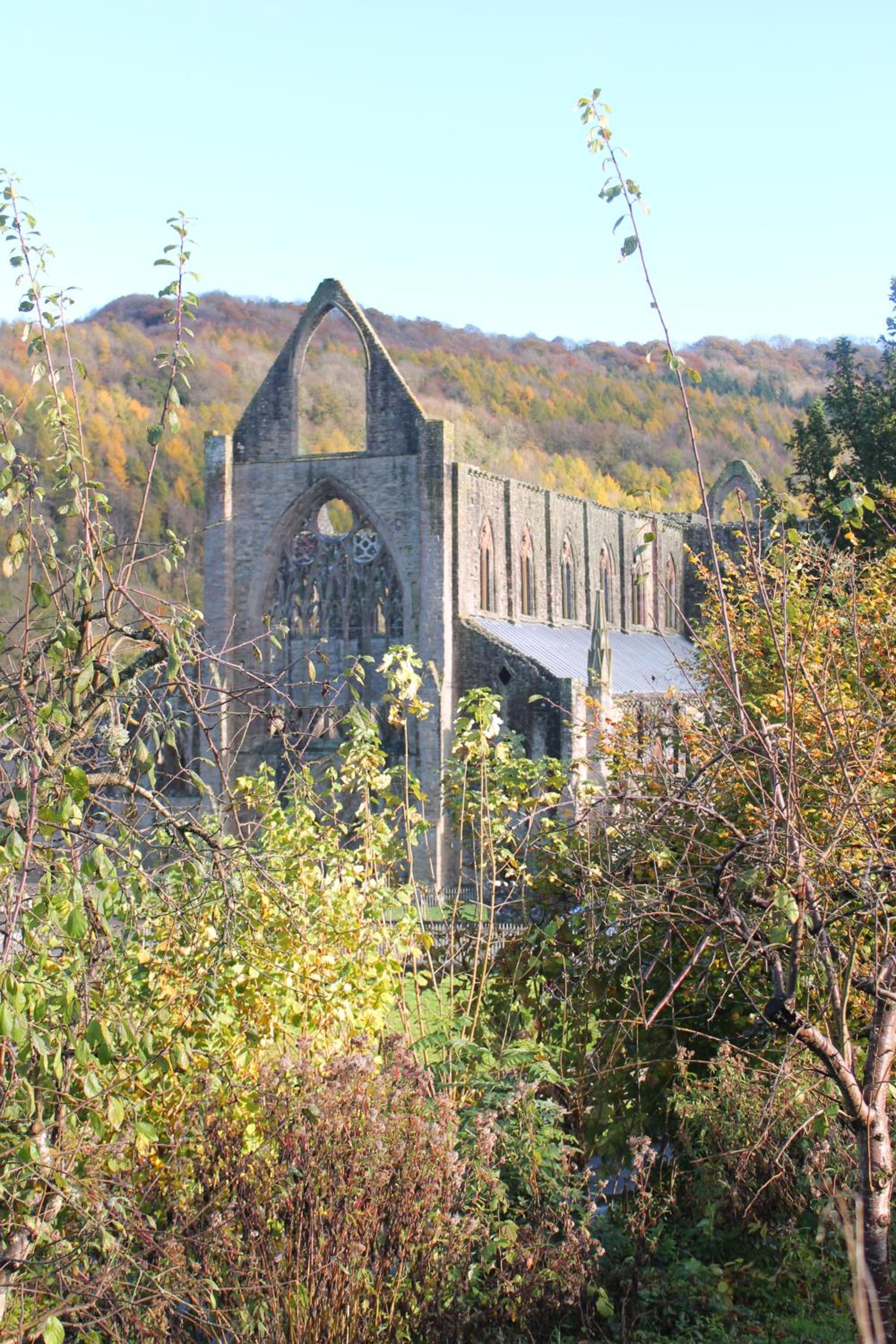 Photo 11