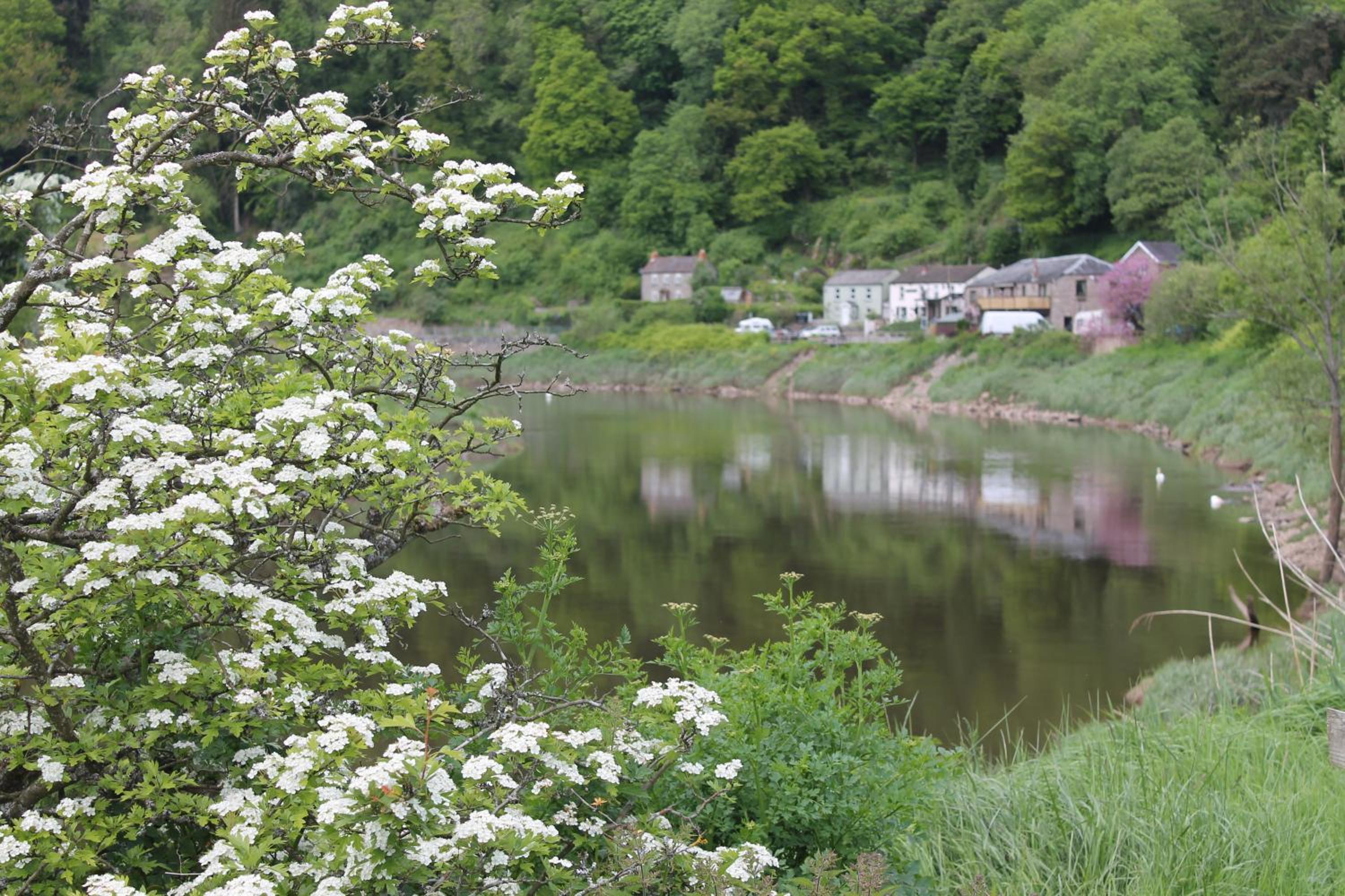 Wye Valley Hotel view 5