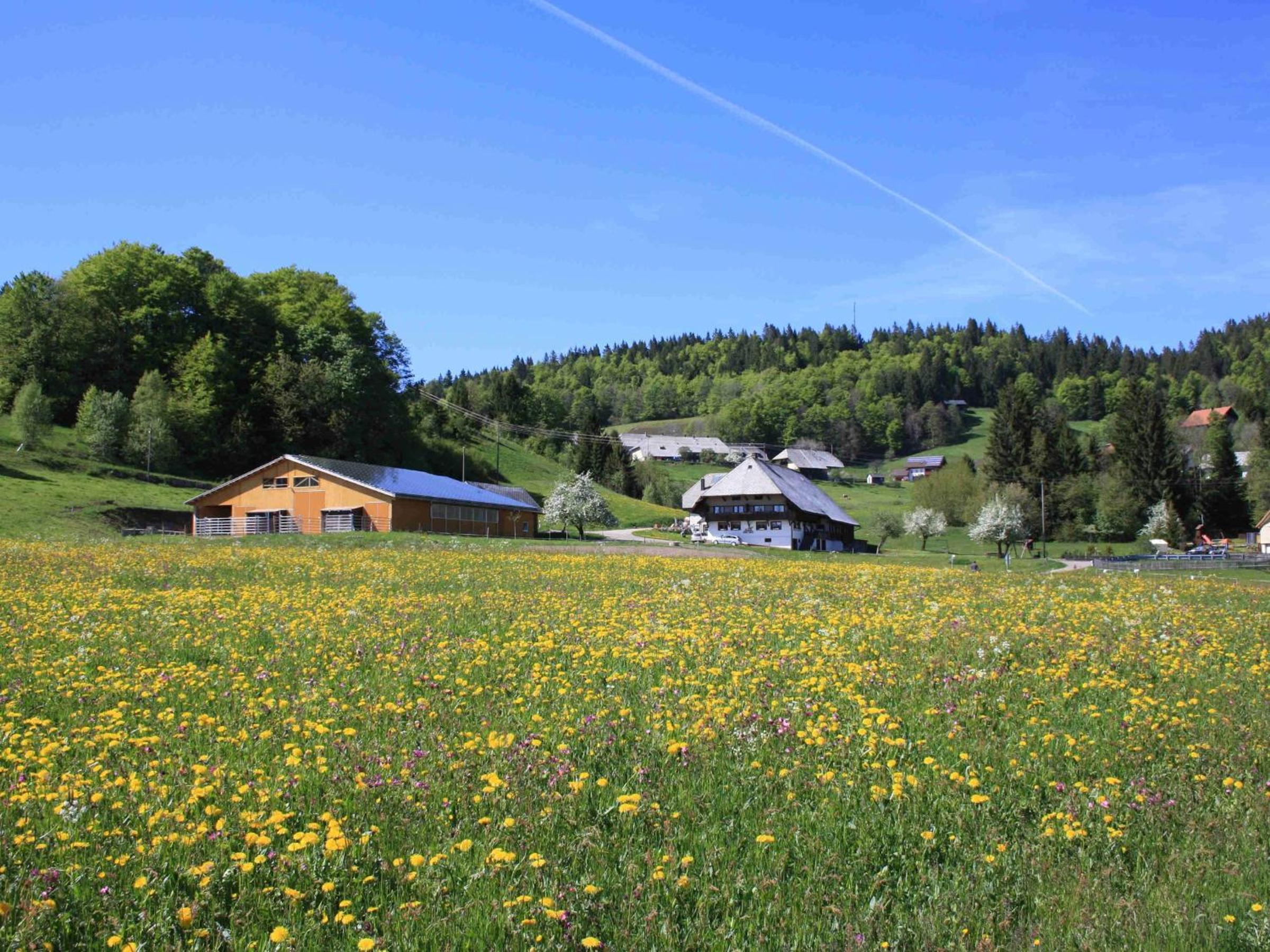 Bürschtehanse-Hof view 2