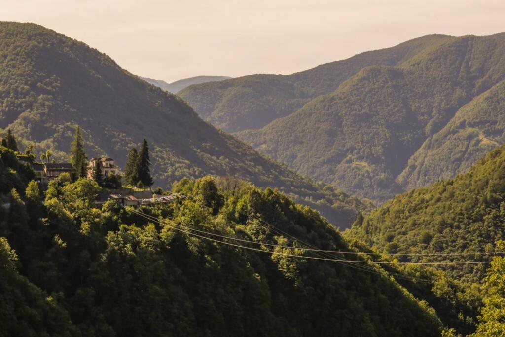 Villa Edera Exclusive Rental view 5