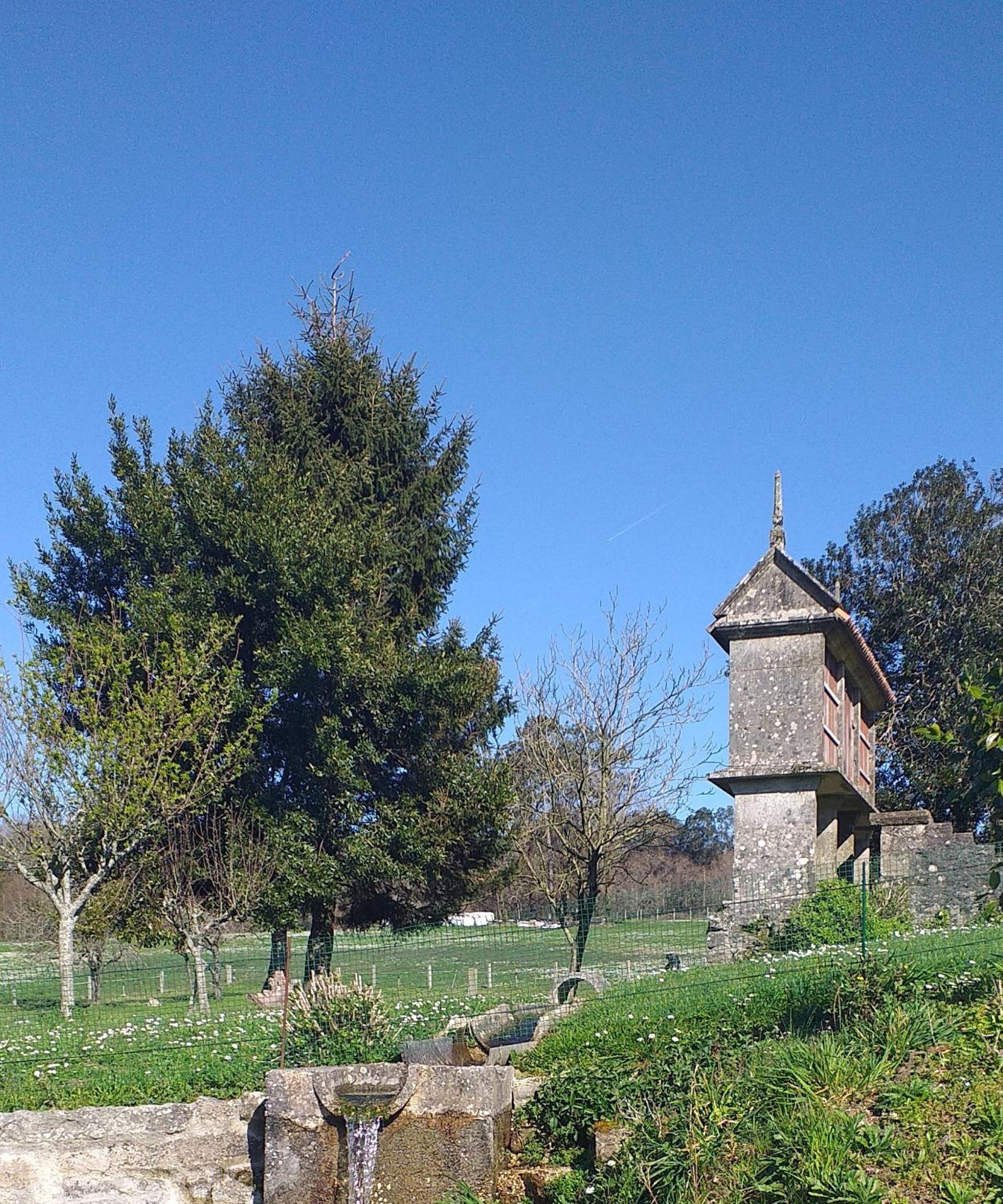 Photo 32