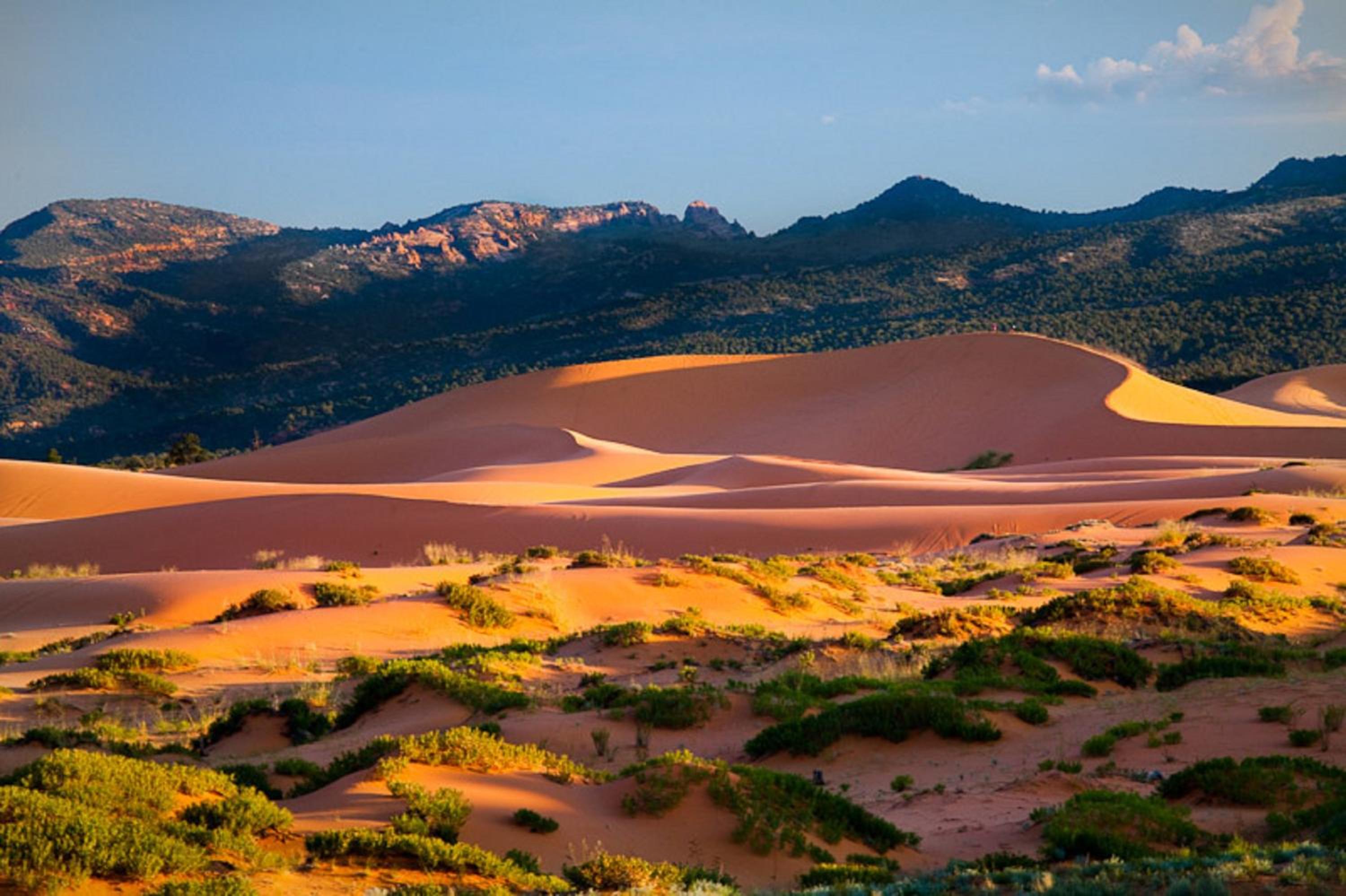 Kanab Vacations - Holiday Inn Express  Suites Kanab, an IHG Hotel - Property Image 18