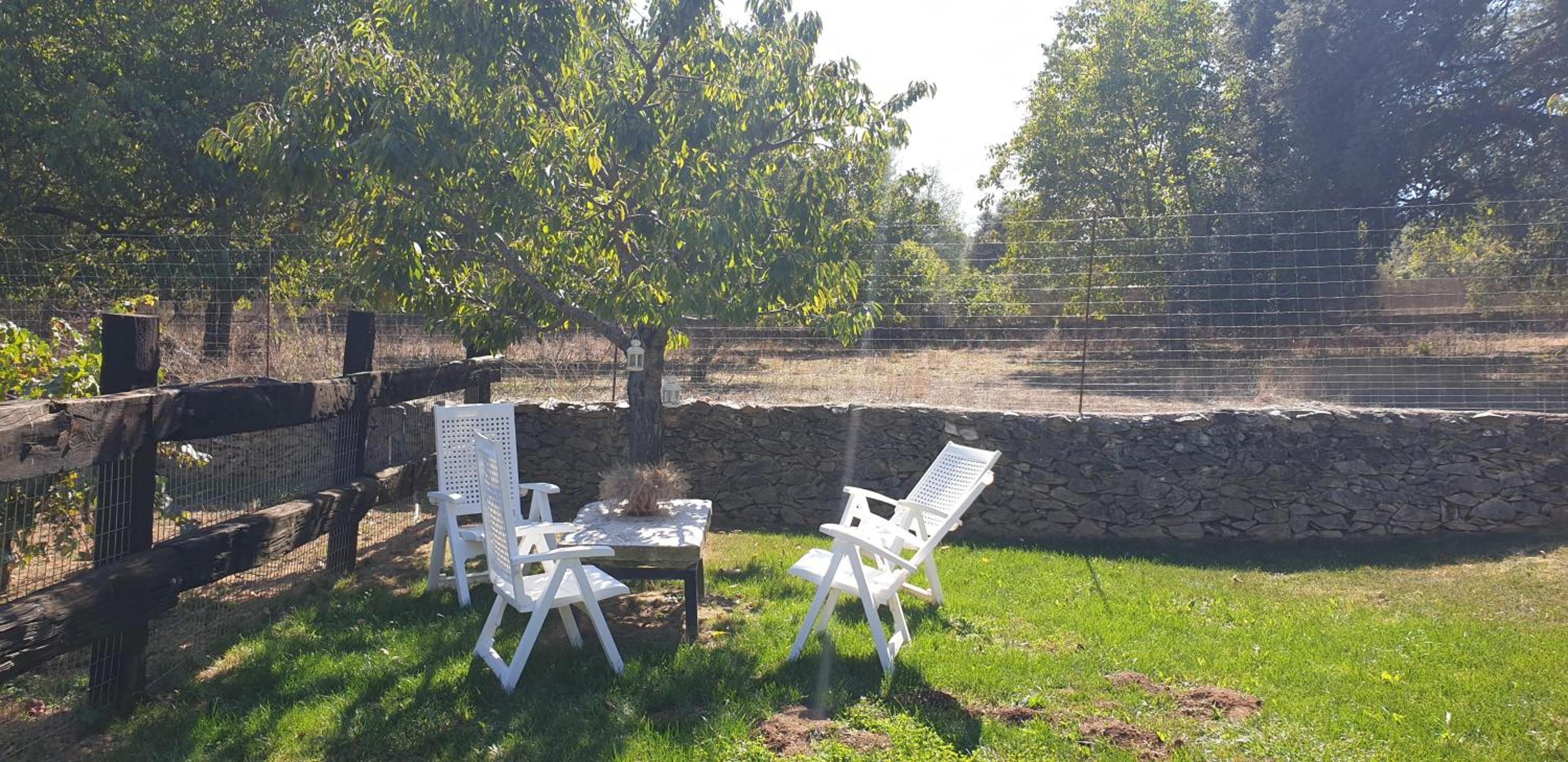 Huerto Los Castaños