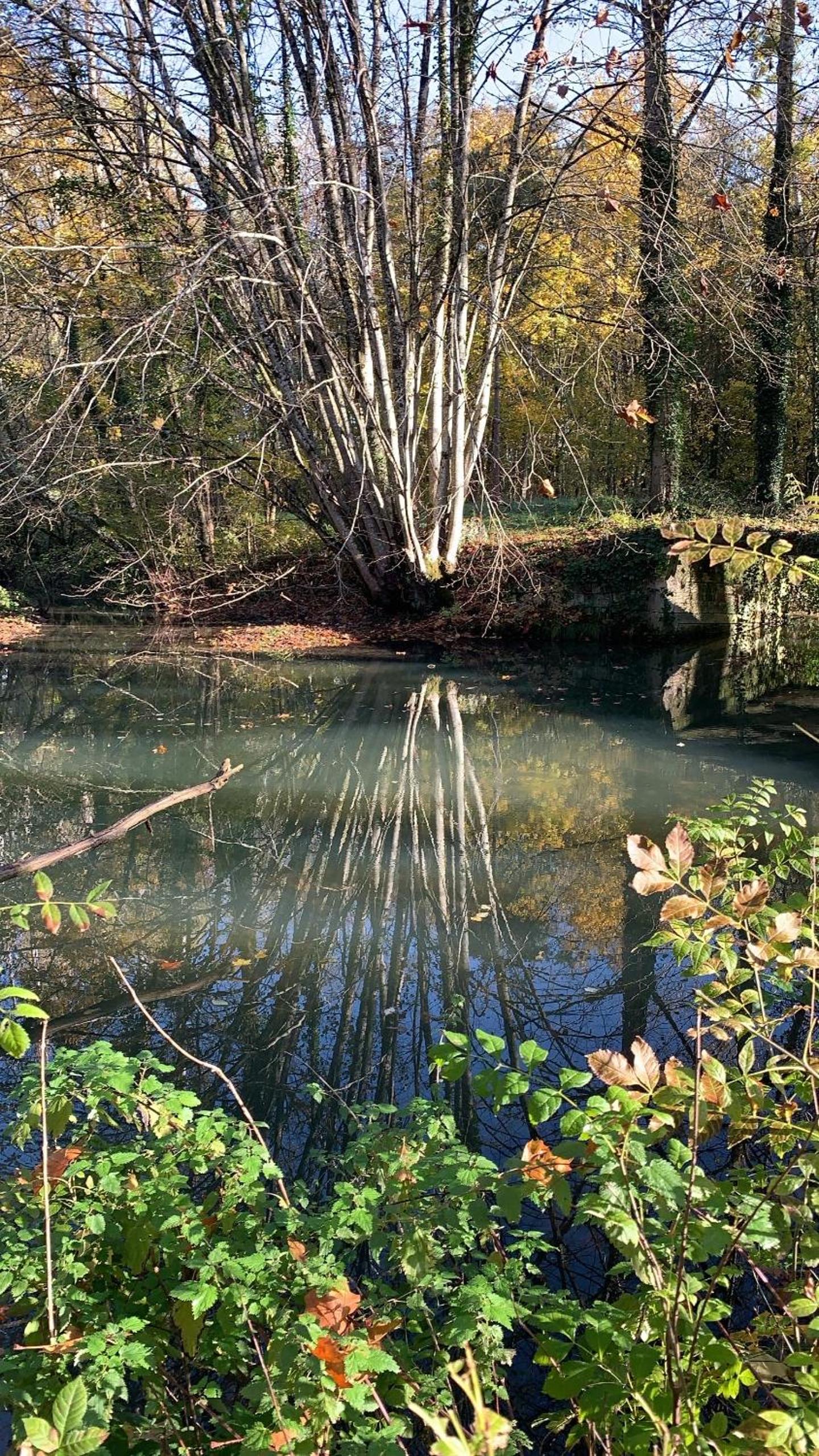 Photo 43