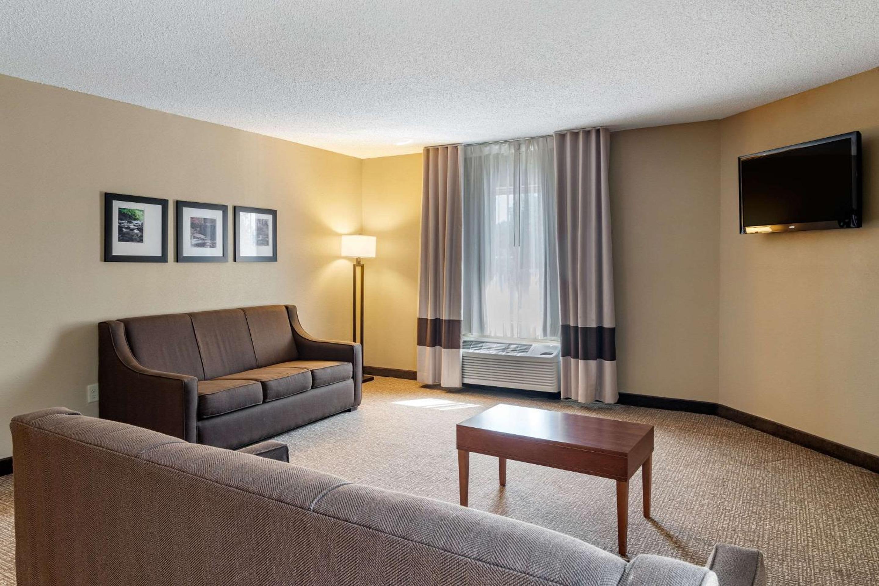 Comfort Inn & Suites Suwanee - Sugarloaf, 사진 27
