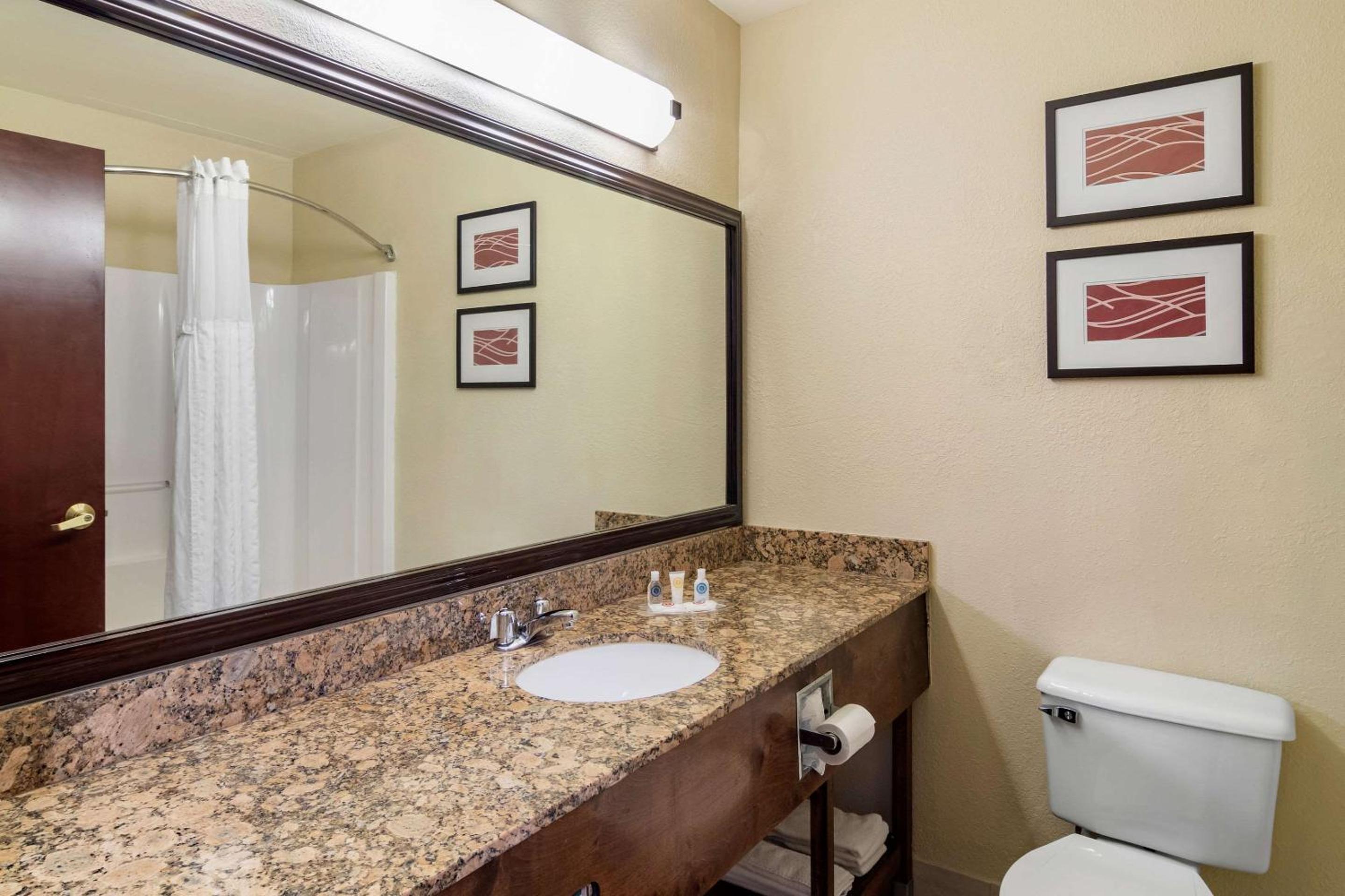 Comfort Inn & Suites Suwanee - Sugarloaf, 사진 32