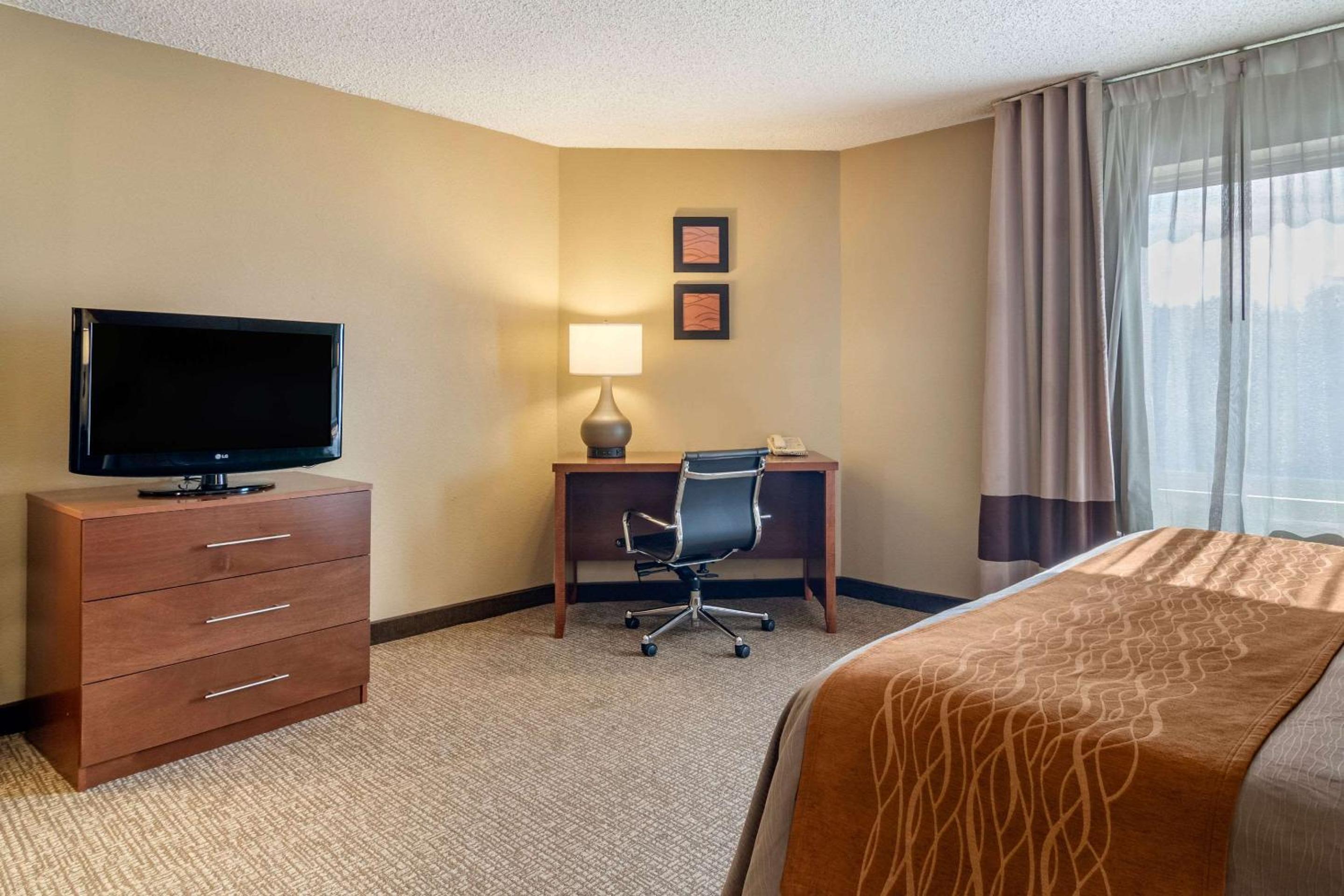 Comfort Inn & Suites Suwanee - Sugarloaf, 사진 16