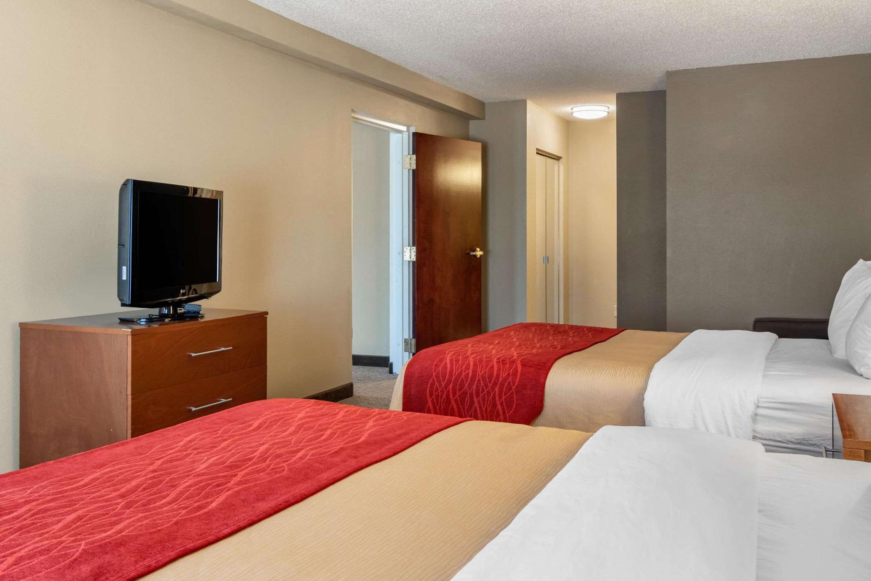 Comfort Inn & Suites Suwanee - Sugarloaf, 사진 3