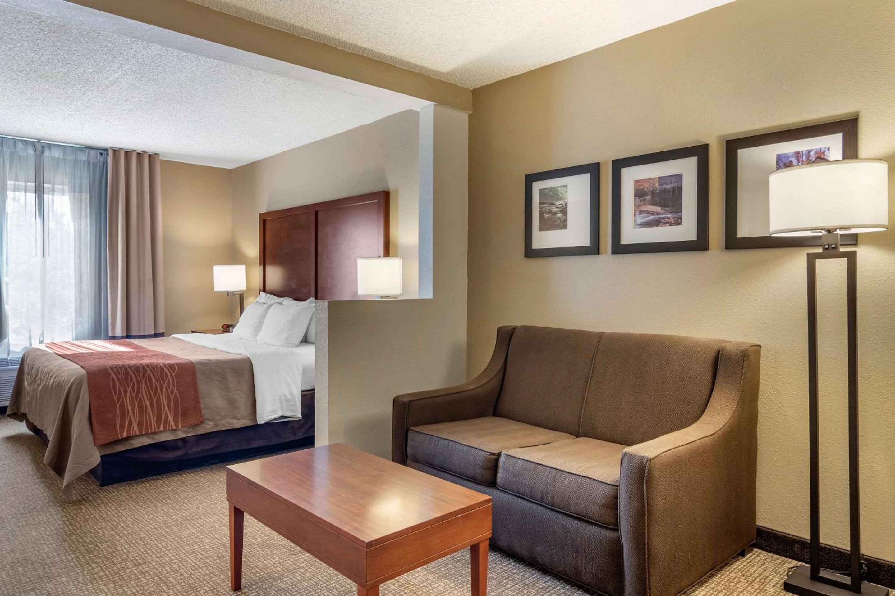 Comfort Inn & Suites Suwanee - Sugarloaf, 사진 17