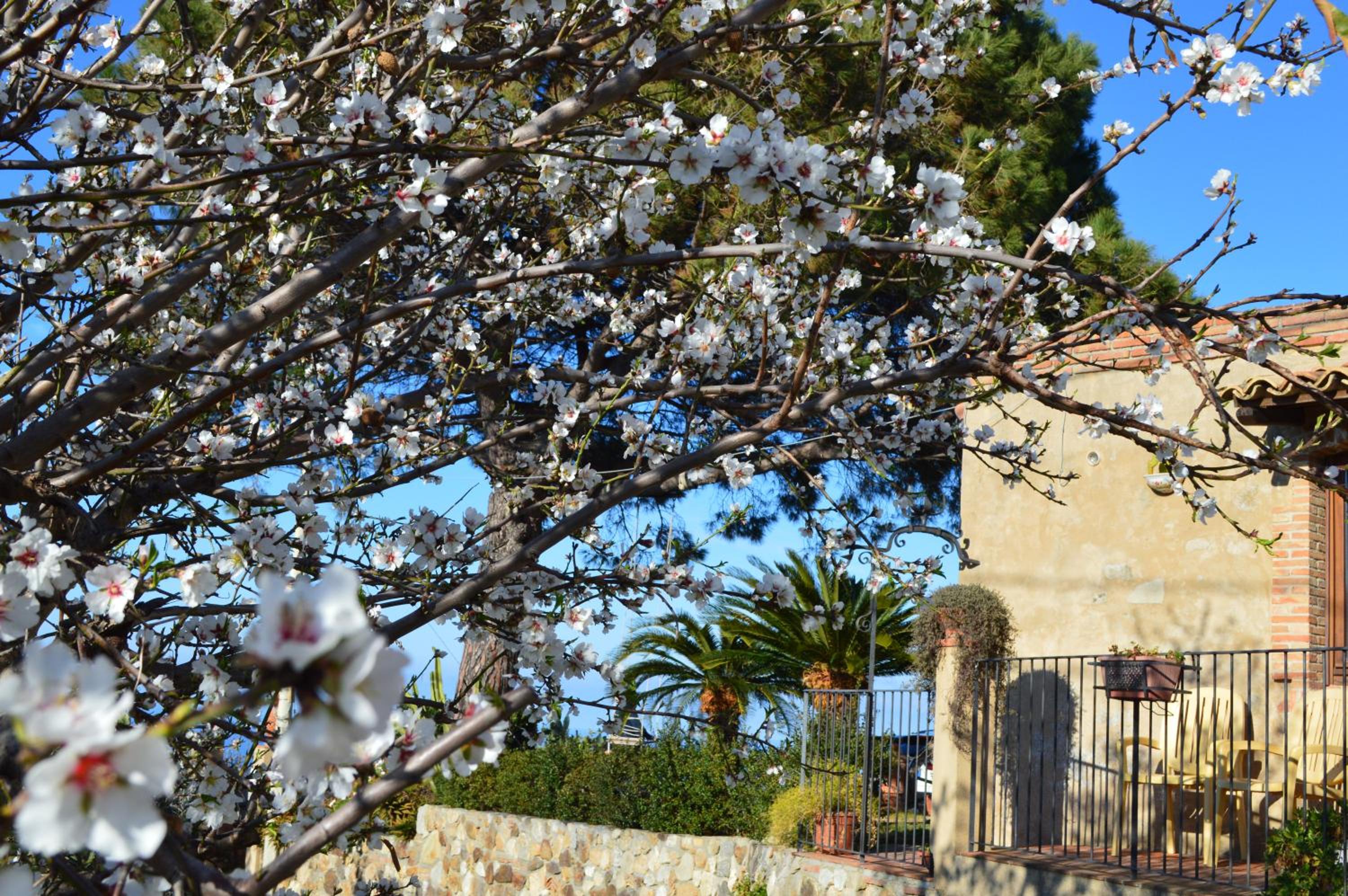 Villa Quiete